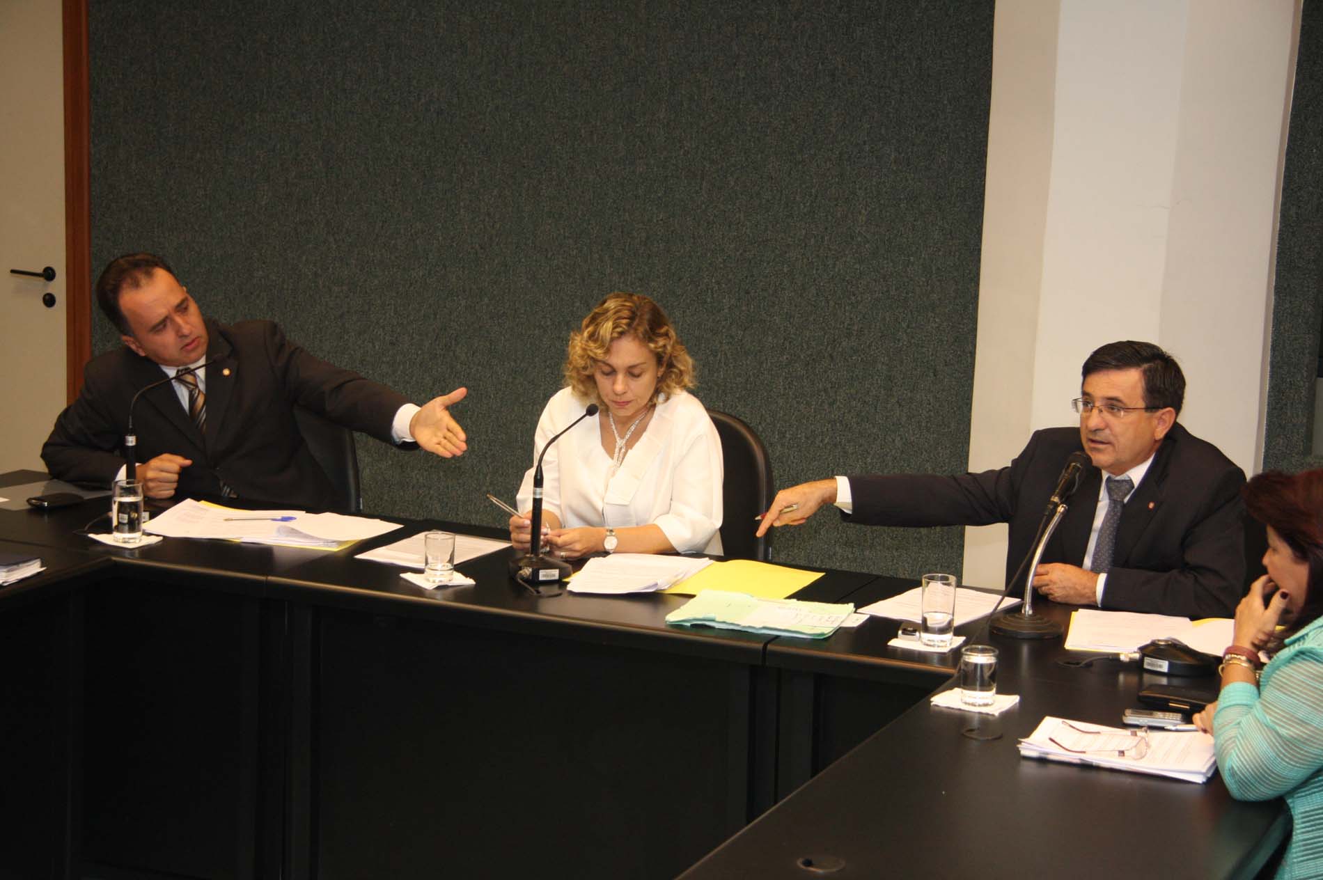 Comissão de Direitos e Garantias Fundamentais