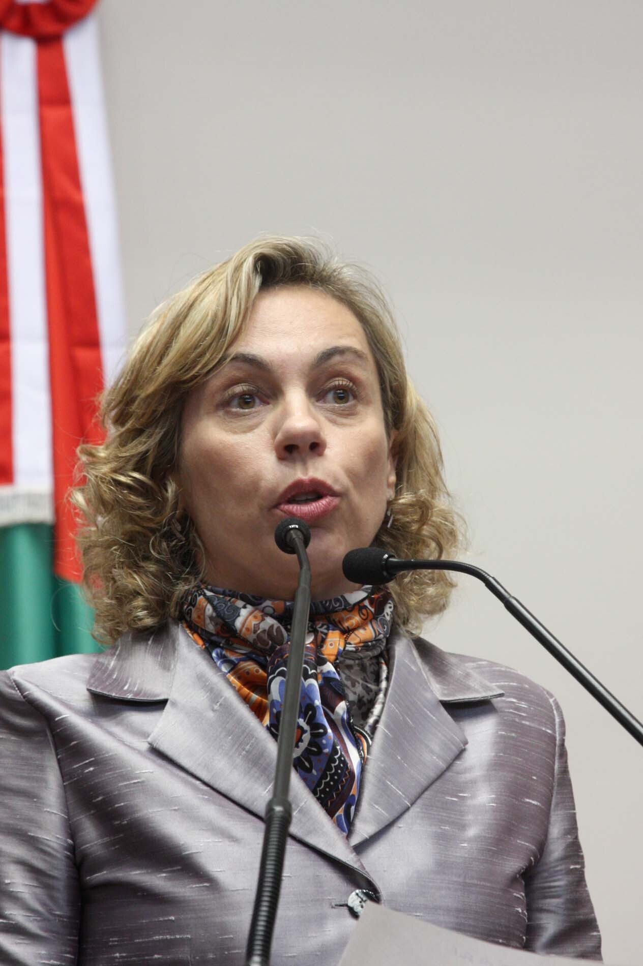 Dos Gabinetes – Ana Paula propõe audiência para debater mudanças na cobrança de energia elétrica par