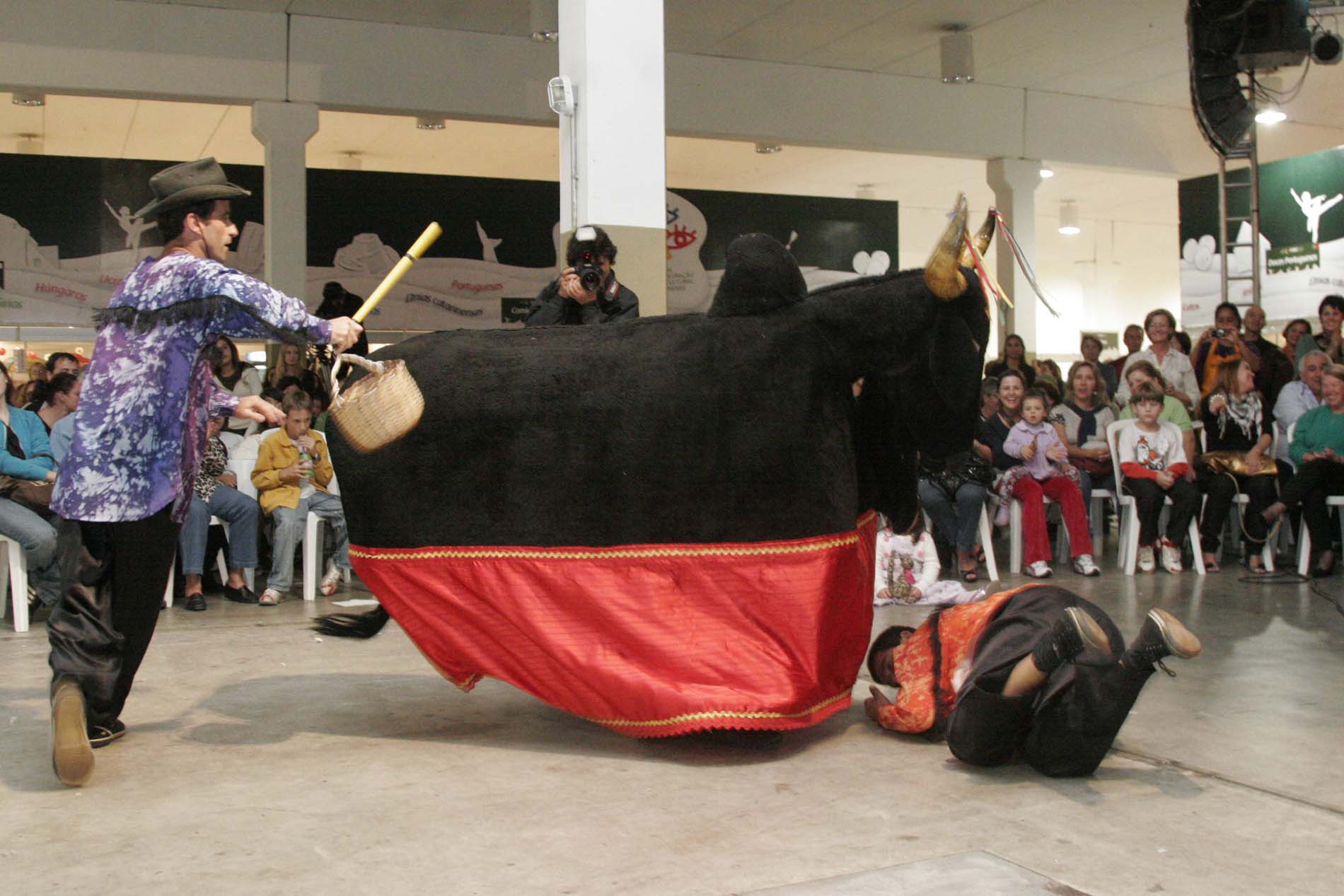 Boi-de-mamão - FIMC