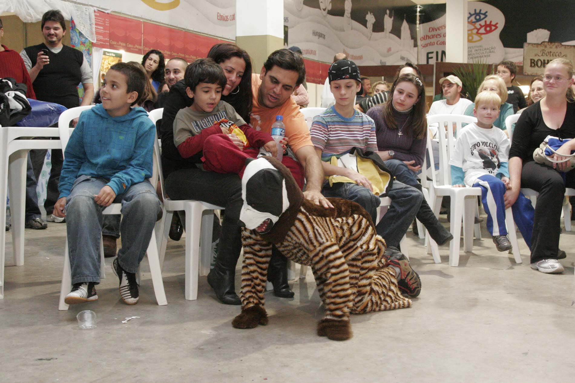 Boi-de-mamão - FIMC
