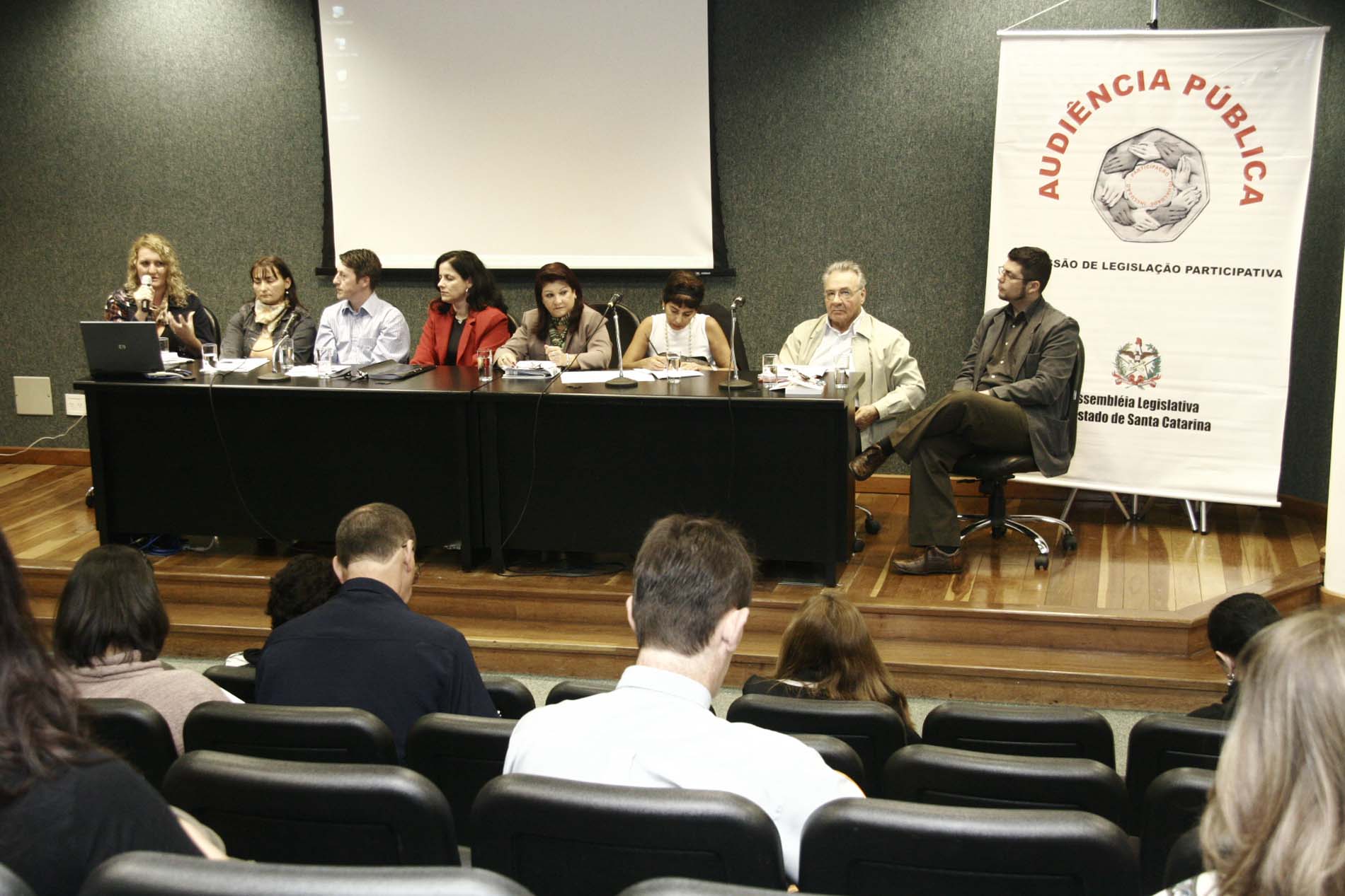Audiência pública 