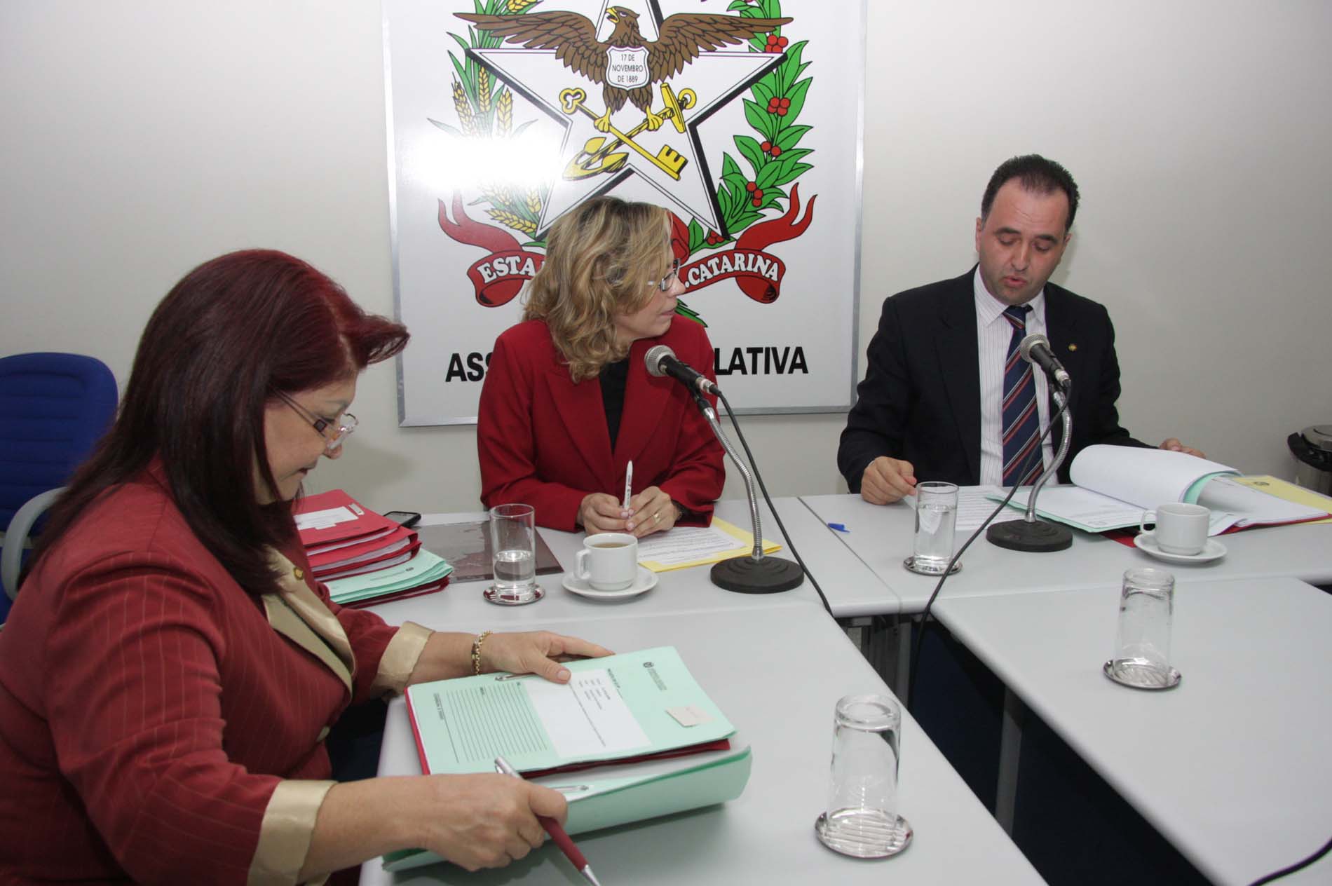 Comissão de Direitos e Garantias Fundamentais