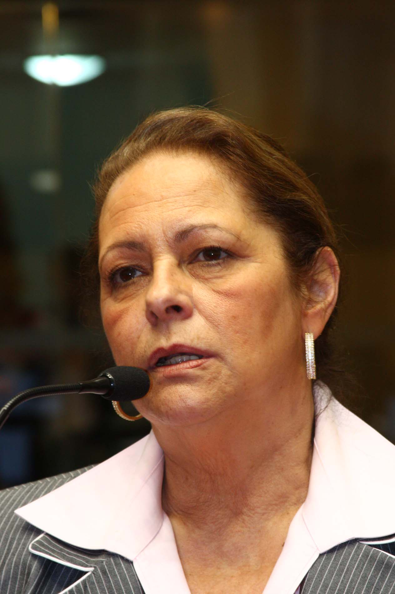 Deputada Ada de Luca (PMDB)