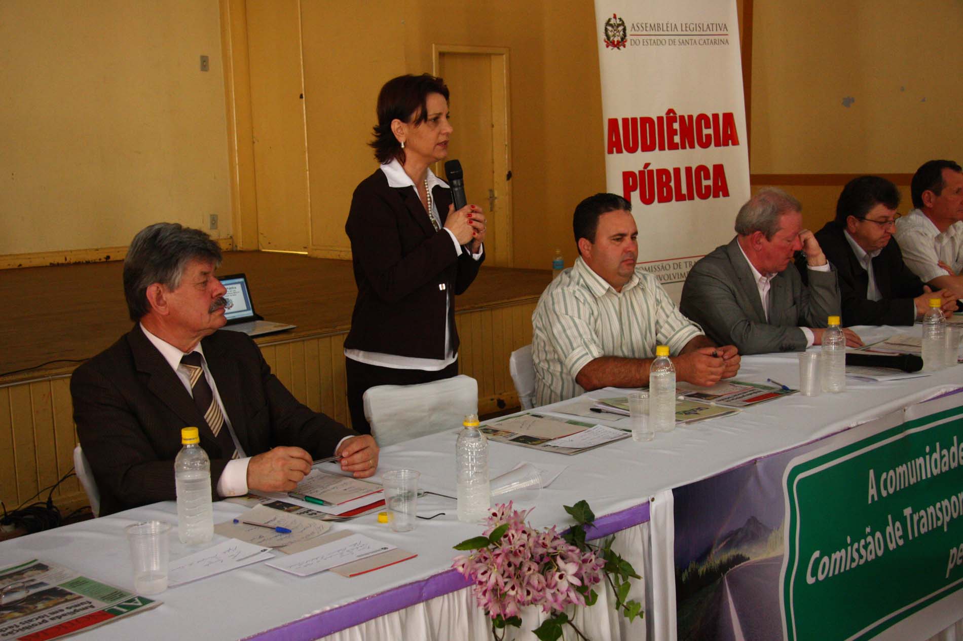 Audiência Pública objetivando a Revitalização da SC 283 com Construção de um Contorno Viário no Perímetro Urbano de Seara