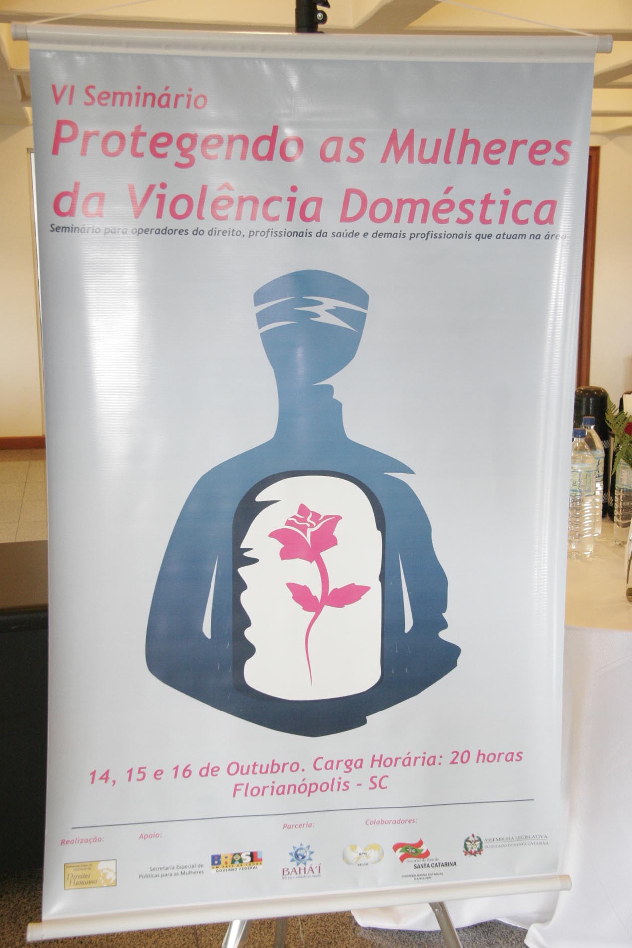 Parlamento sedia VI Seminário “Protegendo as Mulheres da Violência Doméstica”