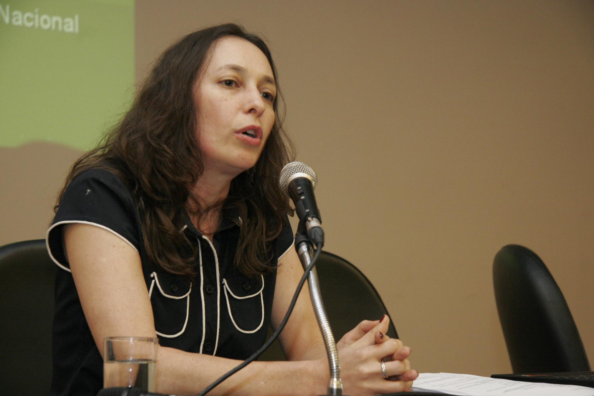 Seminário Protegendo as Mulheres da Violência Doméstica - Carmen Hein de Campos