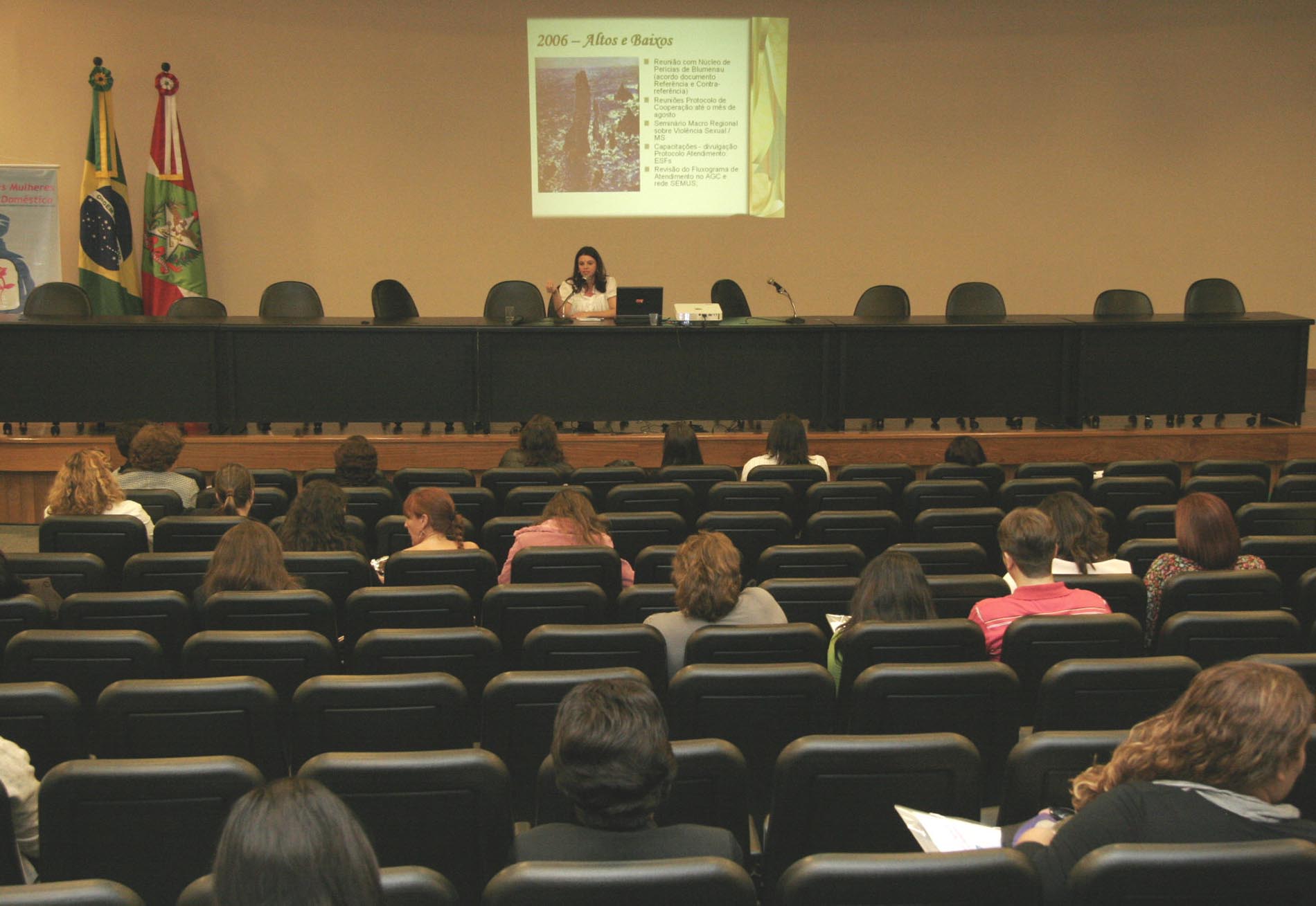 Seminário Protegendo as Mulheres da Violência Doméstica