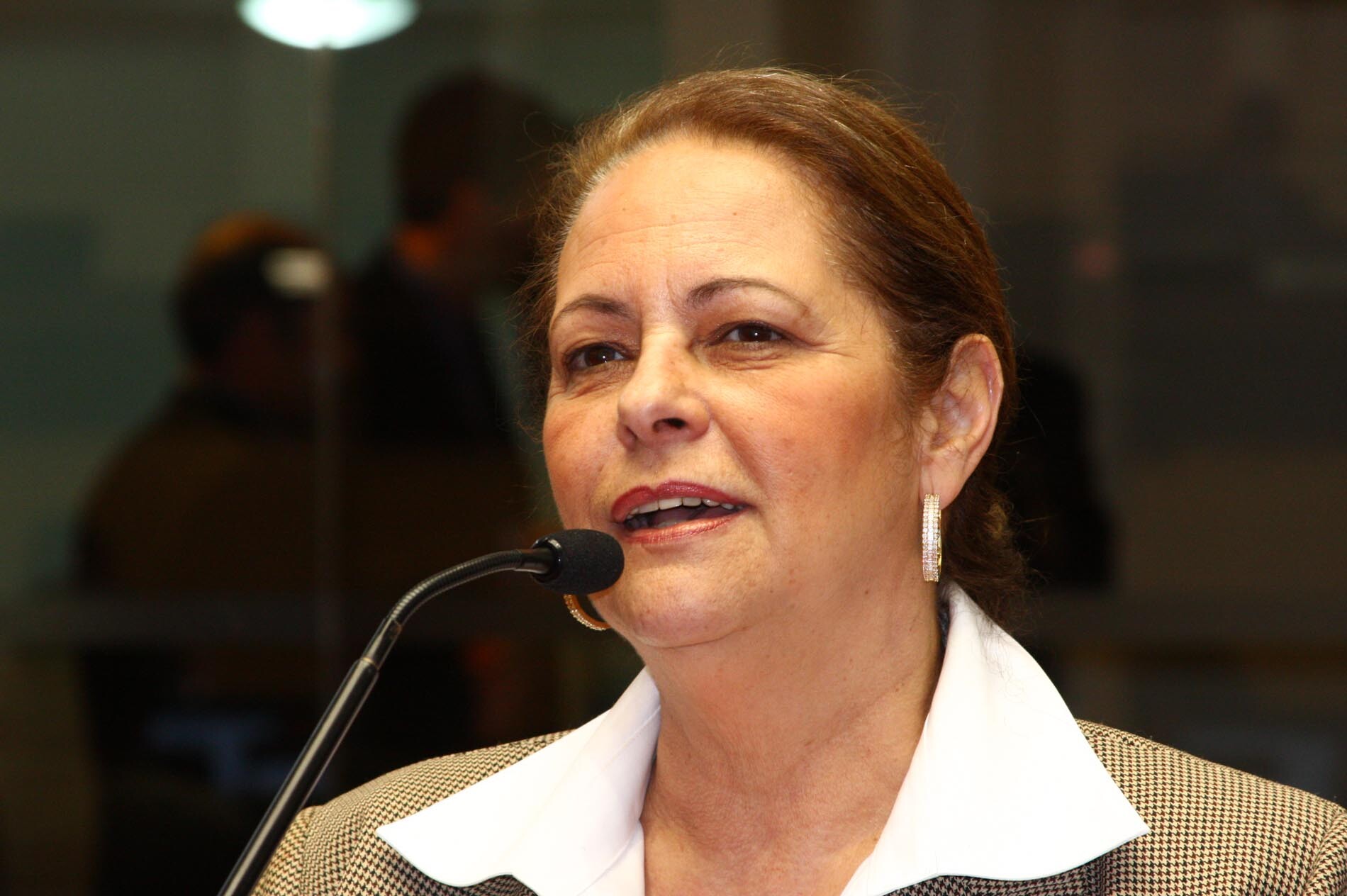 Deputada Ada de Luca (PMDB)