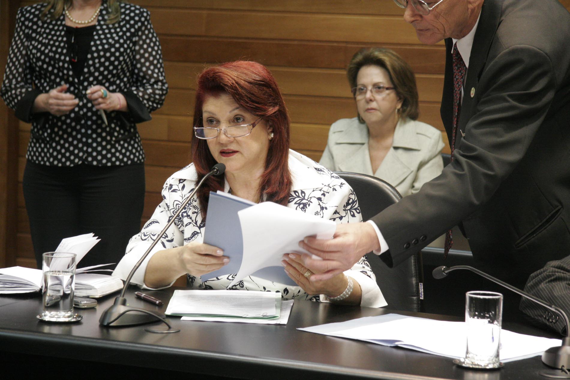 Reunião da Comissão de Finanças e Tributação - Deputada Professora Odete de Jesus (PRB)