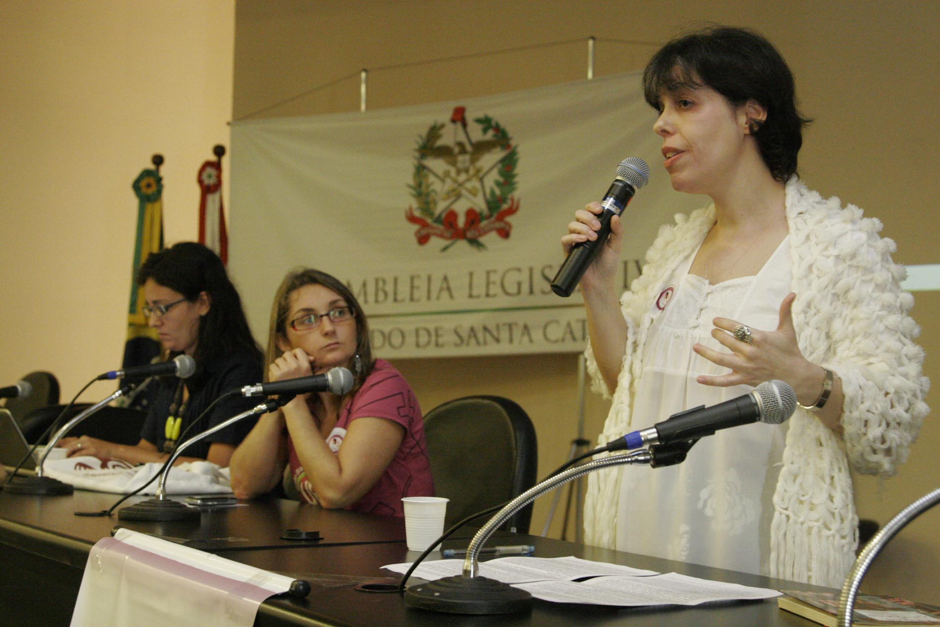 Discussão e análise da Lei Maria da Penha