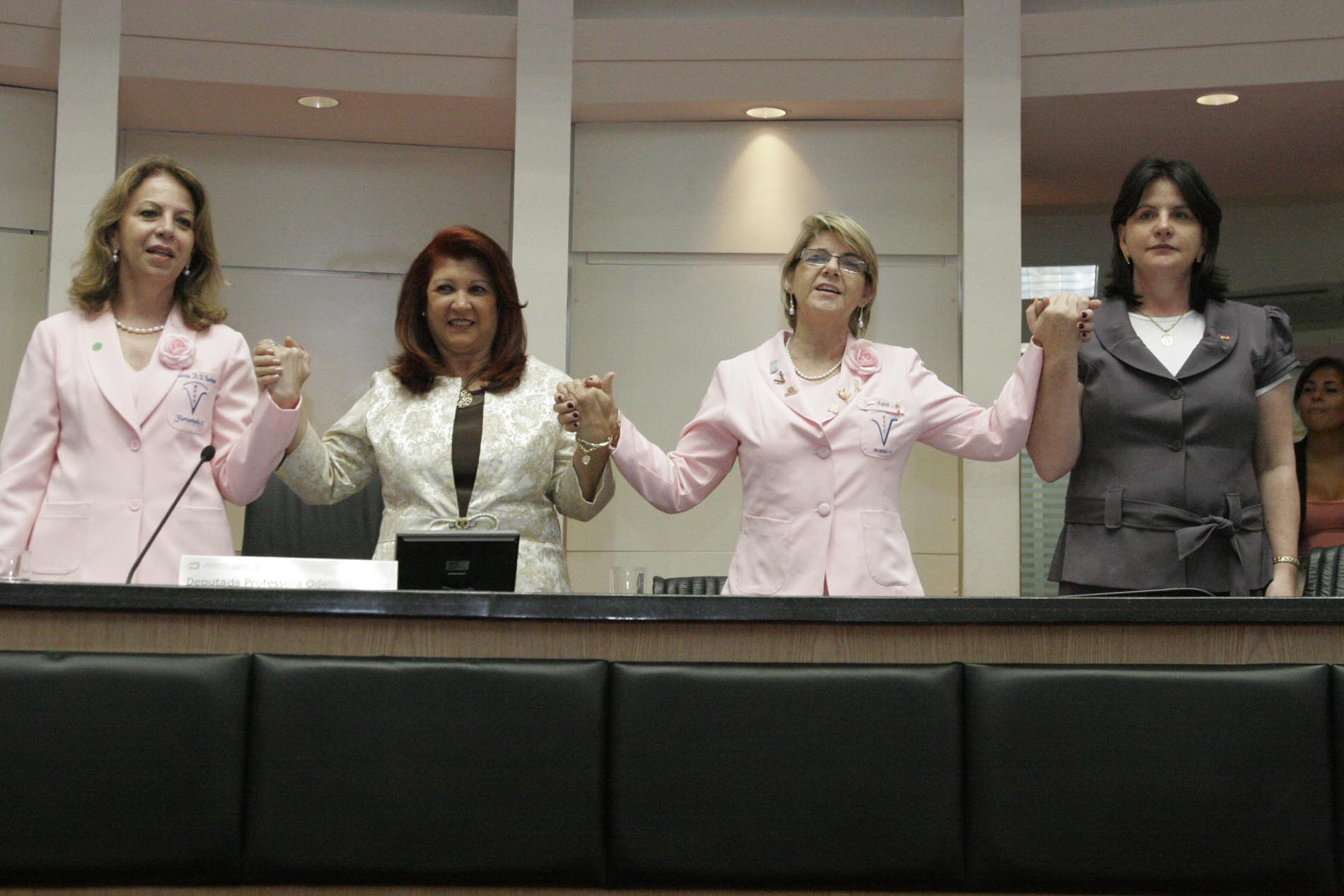 Sessão Especial em comemoração ao Dia Estadual da Rede Feminina de Combate ao Câncer - RFCC no Estado de Santa Catarina