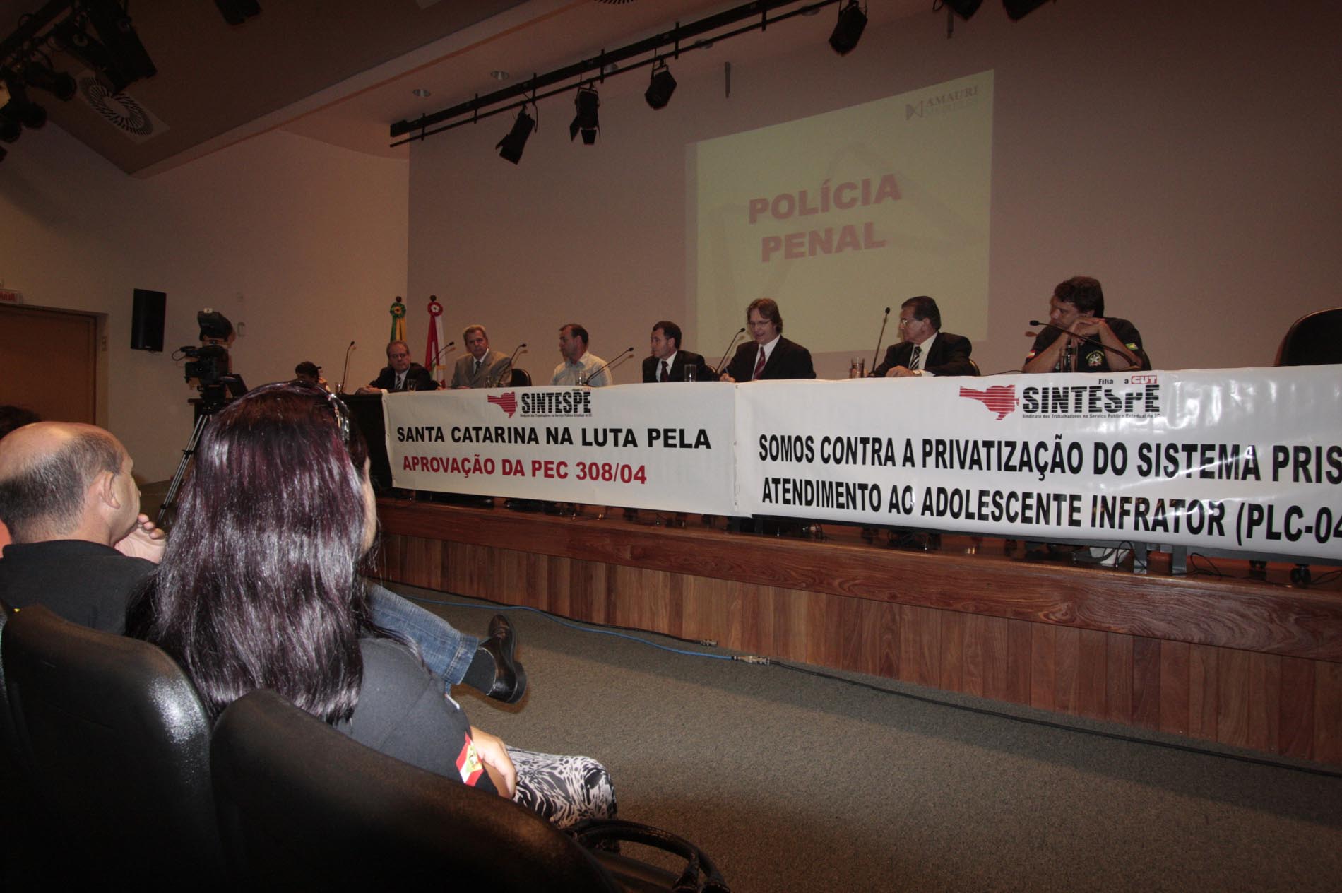 Reunião da Comissão de Segurança Pública