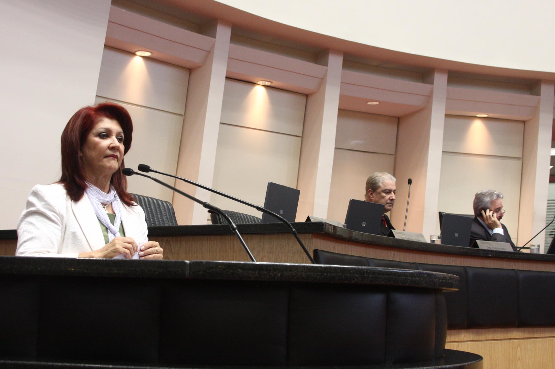 Deputada Professora Odete de Jesus (PRB)