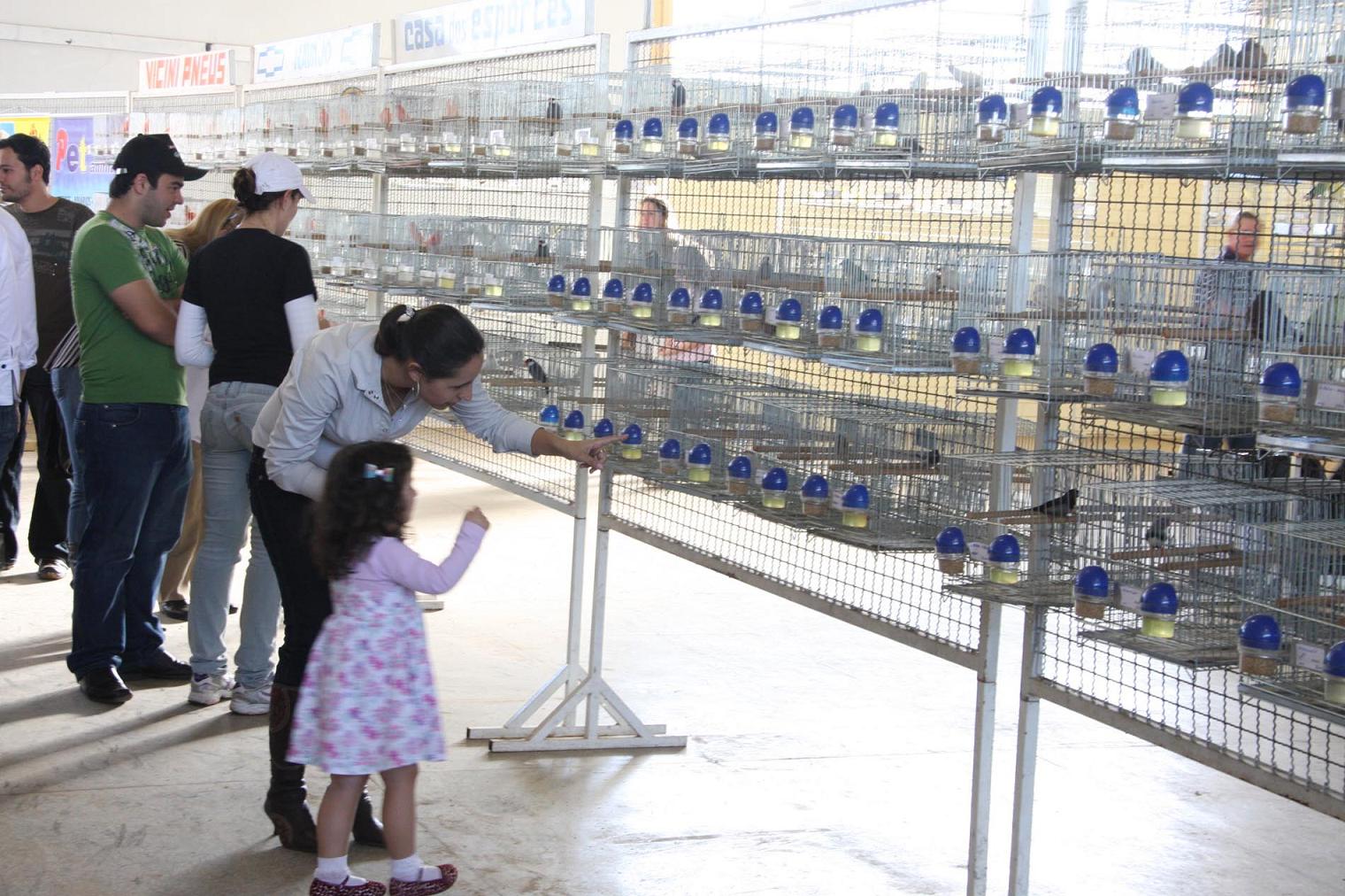 Pavilhão de Pequenos Animais