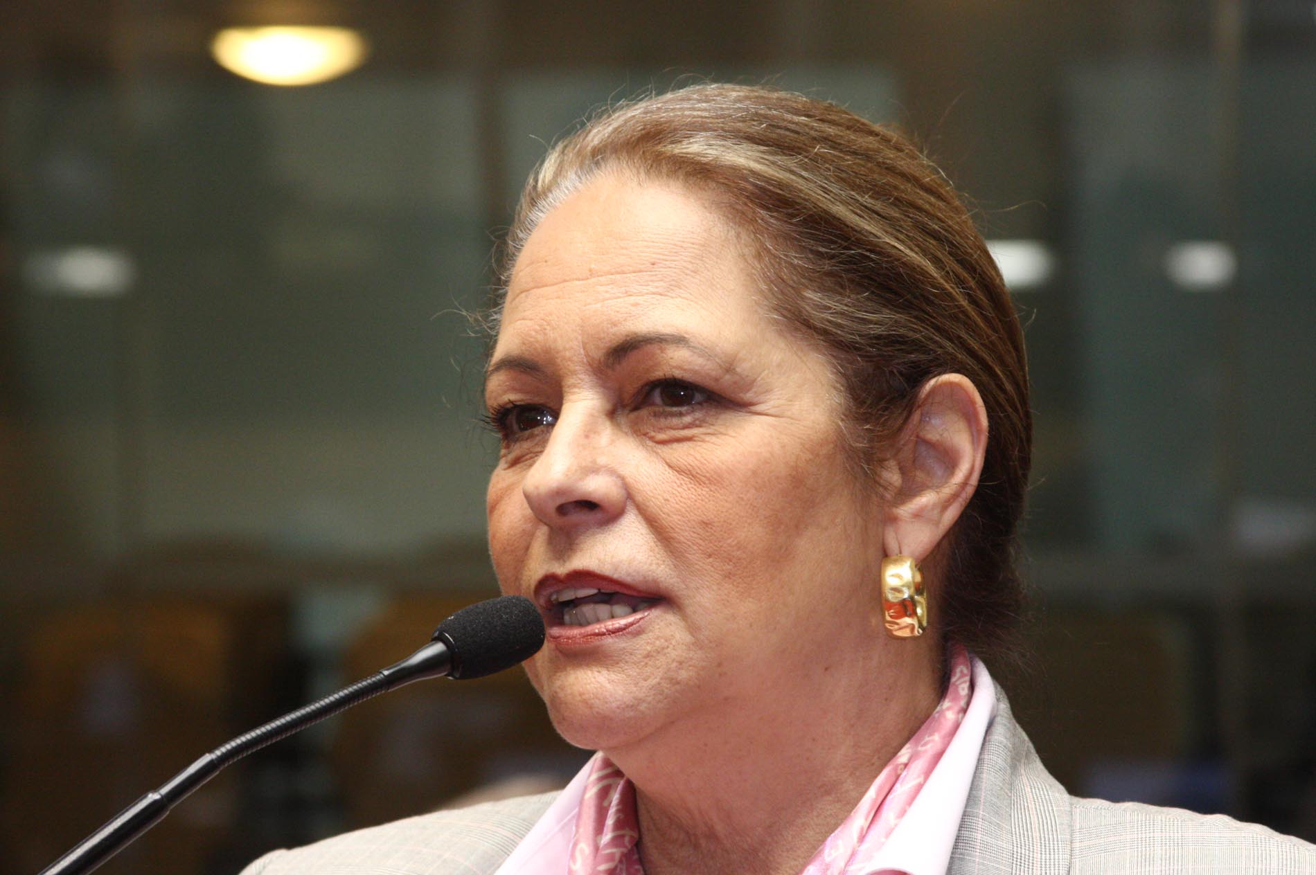 Deputada Ada Faraco De Luca (PMDB)