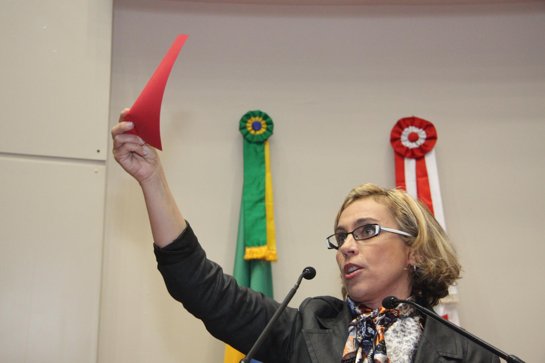 Deputada Ana Paula Lima (PT)