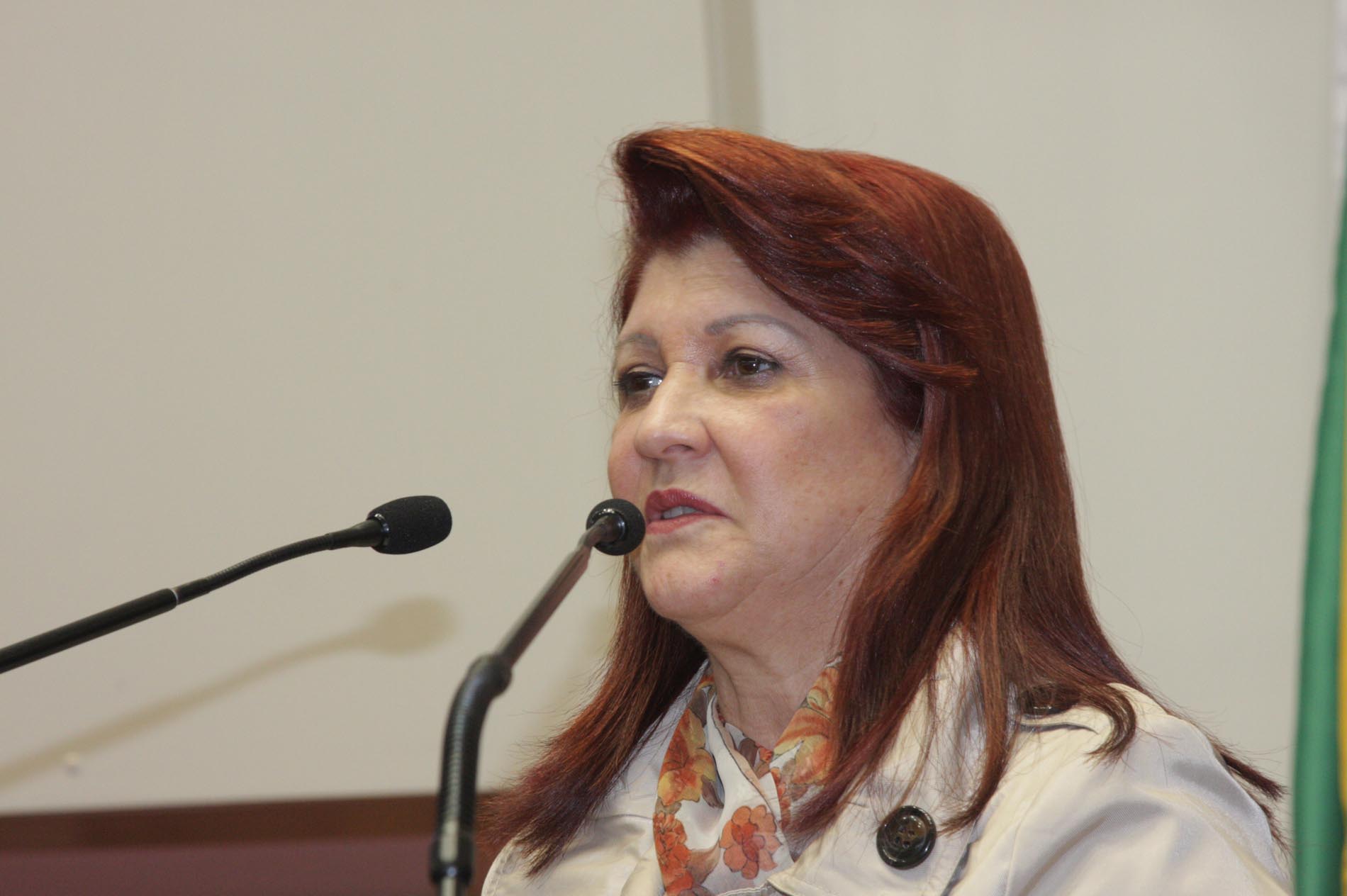 Deputada Professora Odete de Jesus (PRB)