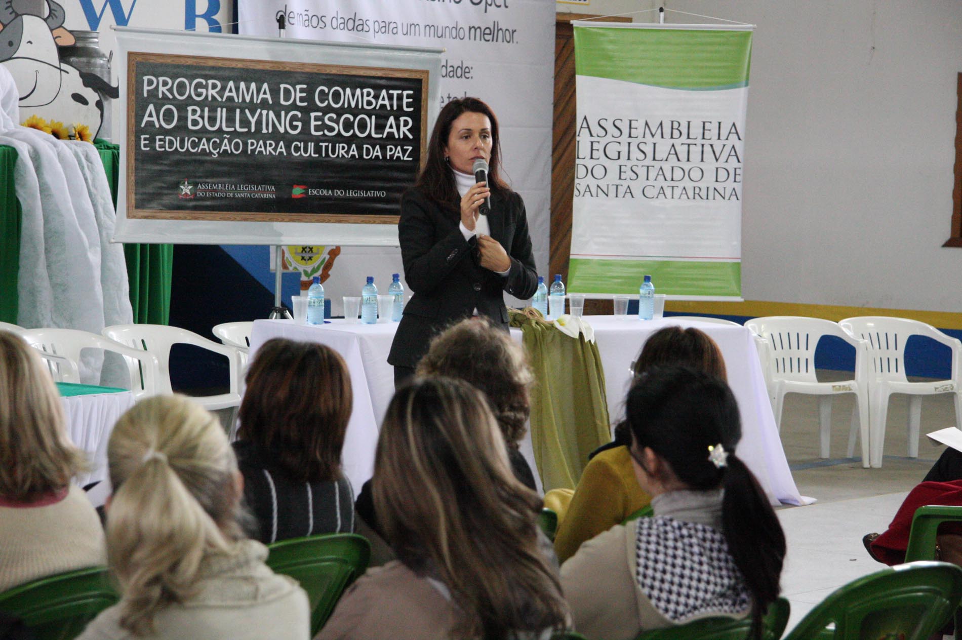 Programa de Combate ao Bullying Escolar e Educação para a Cultura da Paz