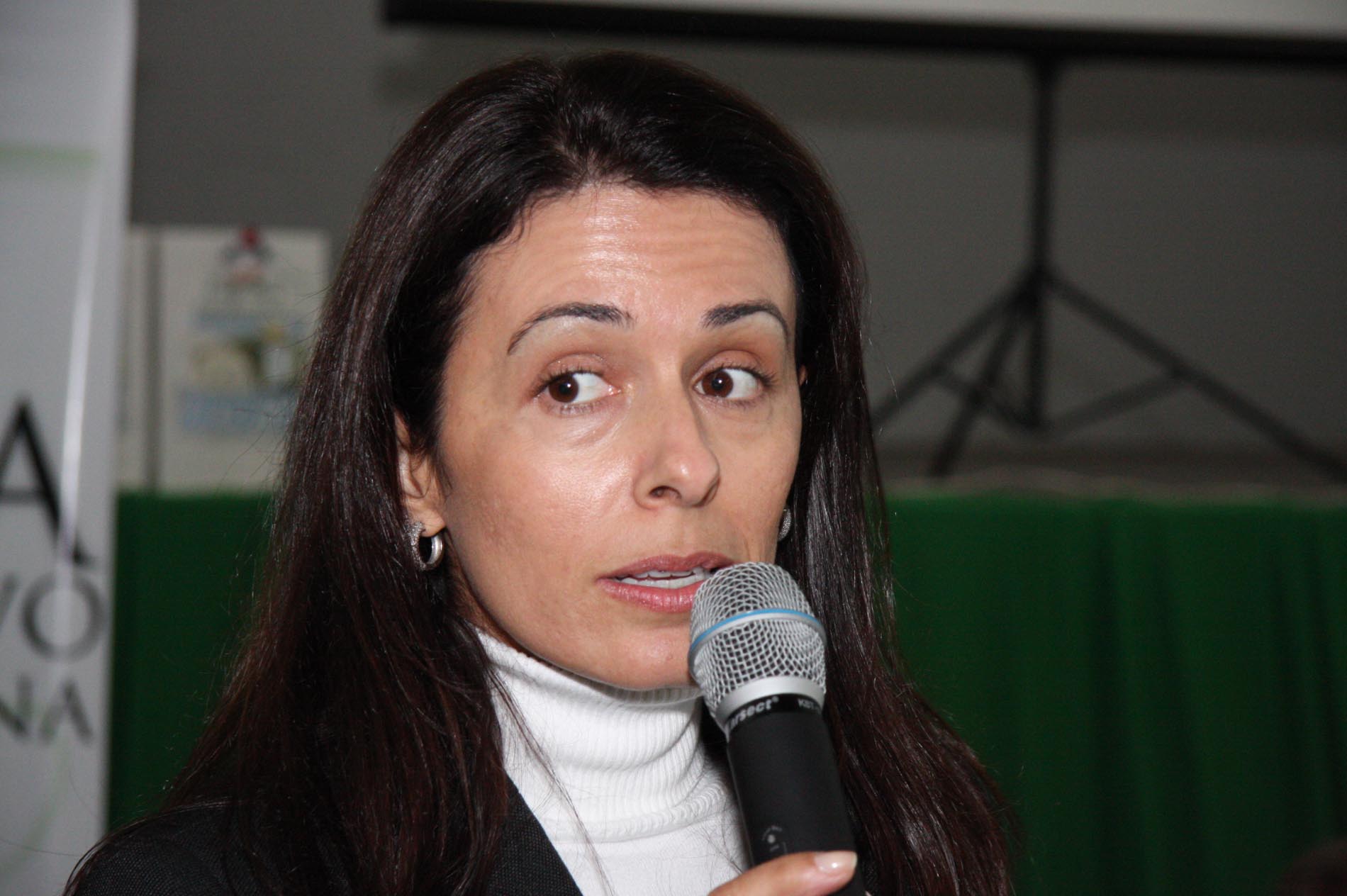 Programa de Combate ao Bullying Escolar e Educação para a Cultura da Paz
