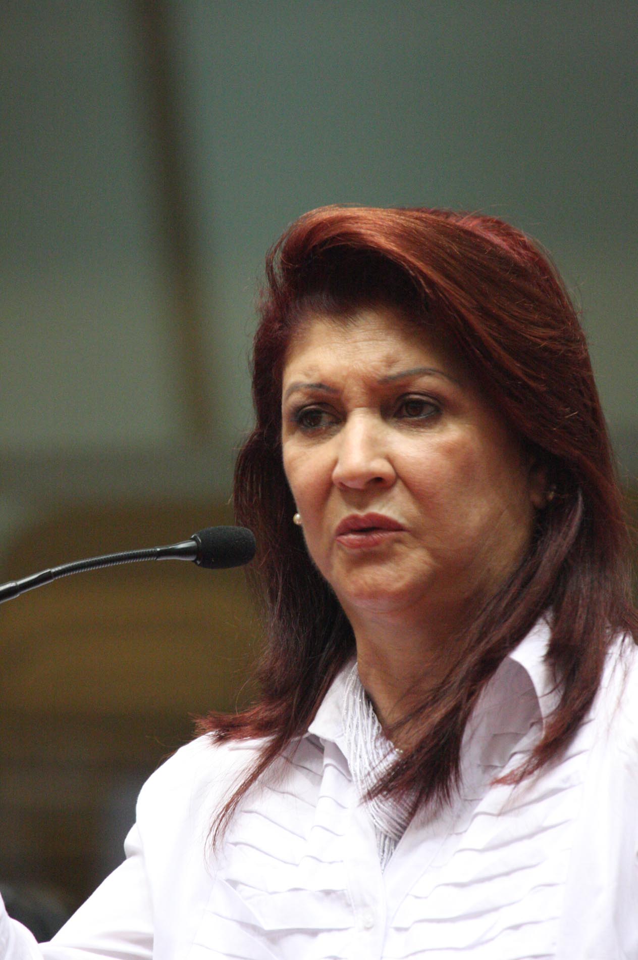 Deputada Prof Odete de Jesus – Manhã