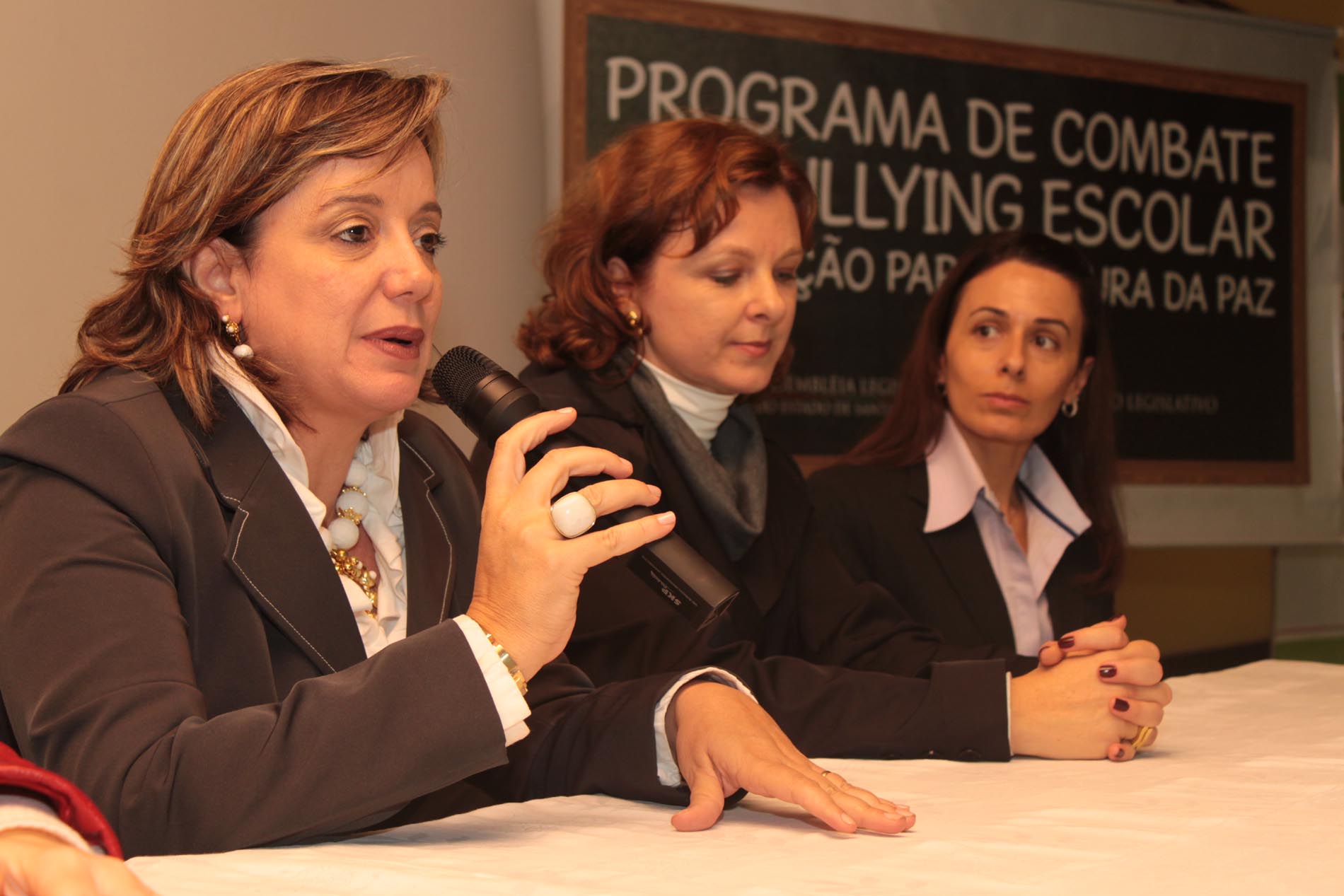 Escola do Legislativo - Programa de Enfrentamento ao Bullying Escolar e Educação para a Cultura da Paz - Local:  Blumenau