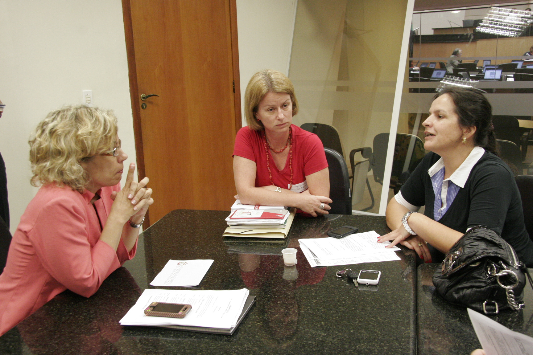 Comissão Direitos e Garantias Fundamentais