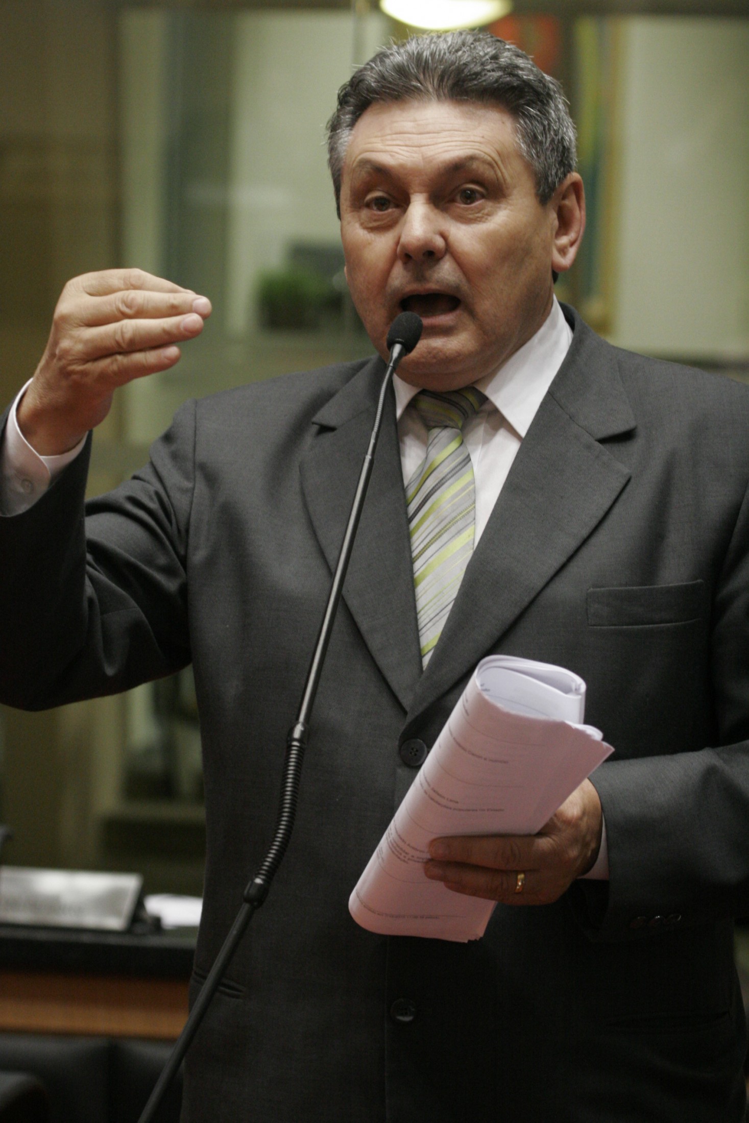 Projeto aprovado antecipa data para colheita do pinhão