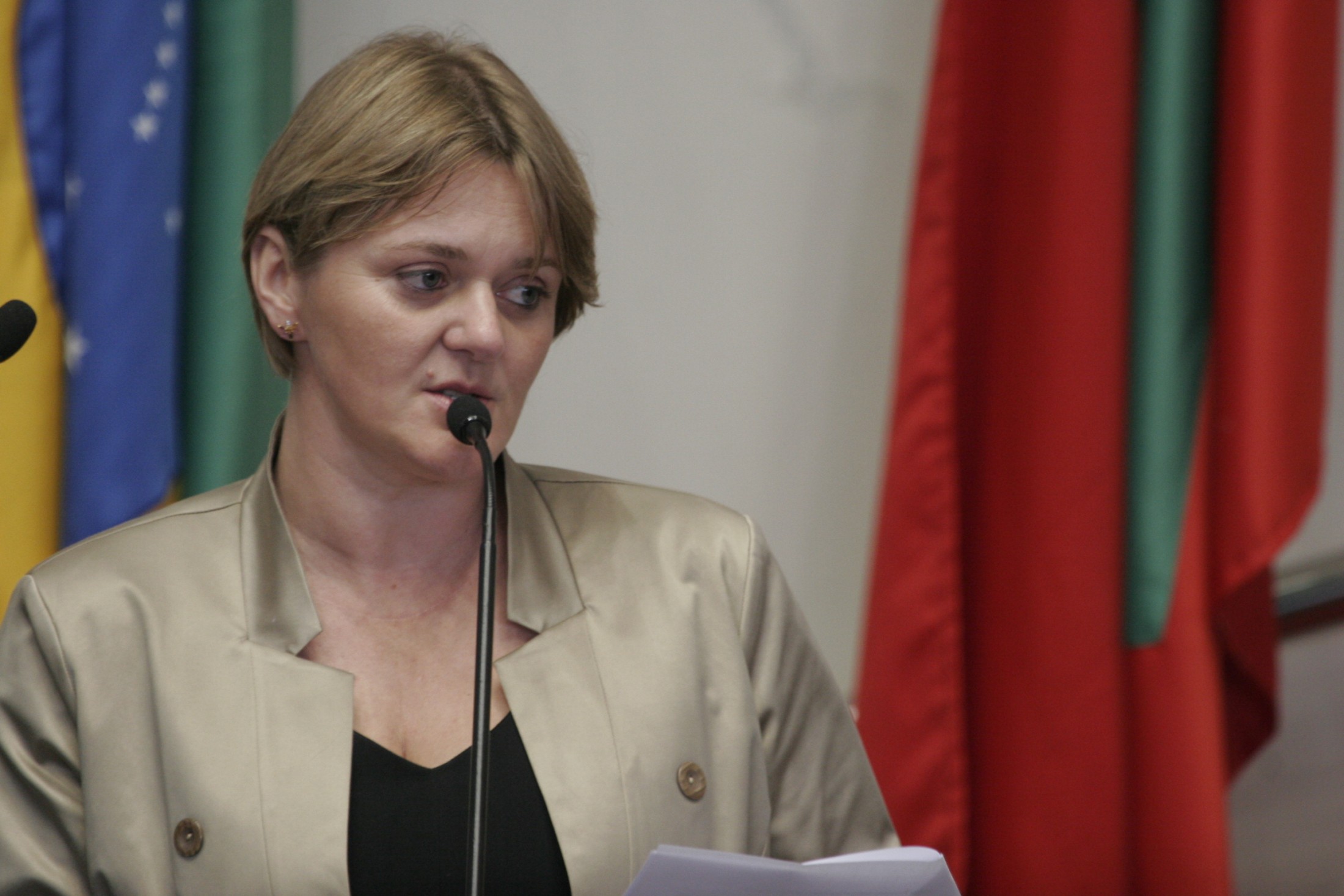 Deputada Luciane Maria Carminatti (PT) - Sessão Ordinária - Assembleia Legislativa