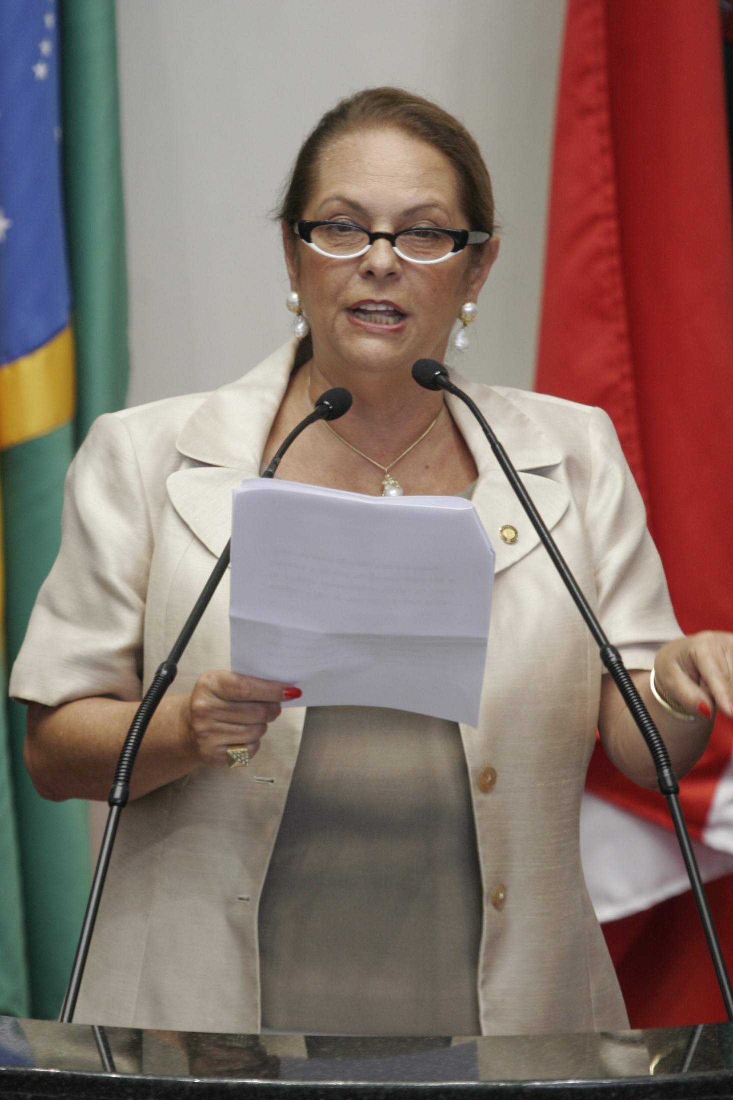 Deputada Ada Faraco De Luca (PMDB) - Sessão Ordinária - Assembleia Legislativa