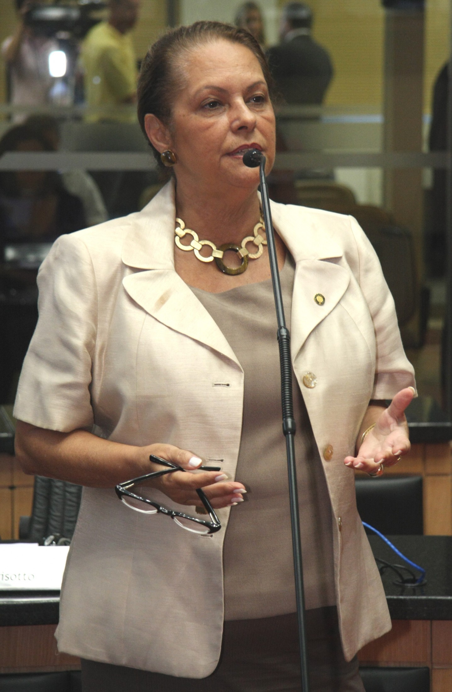 Deputada Ada de Luca (PMDB)