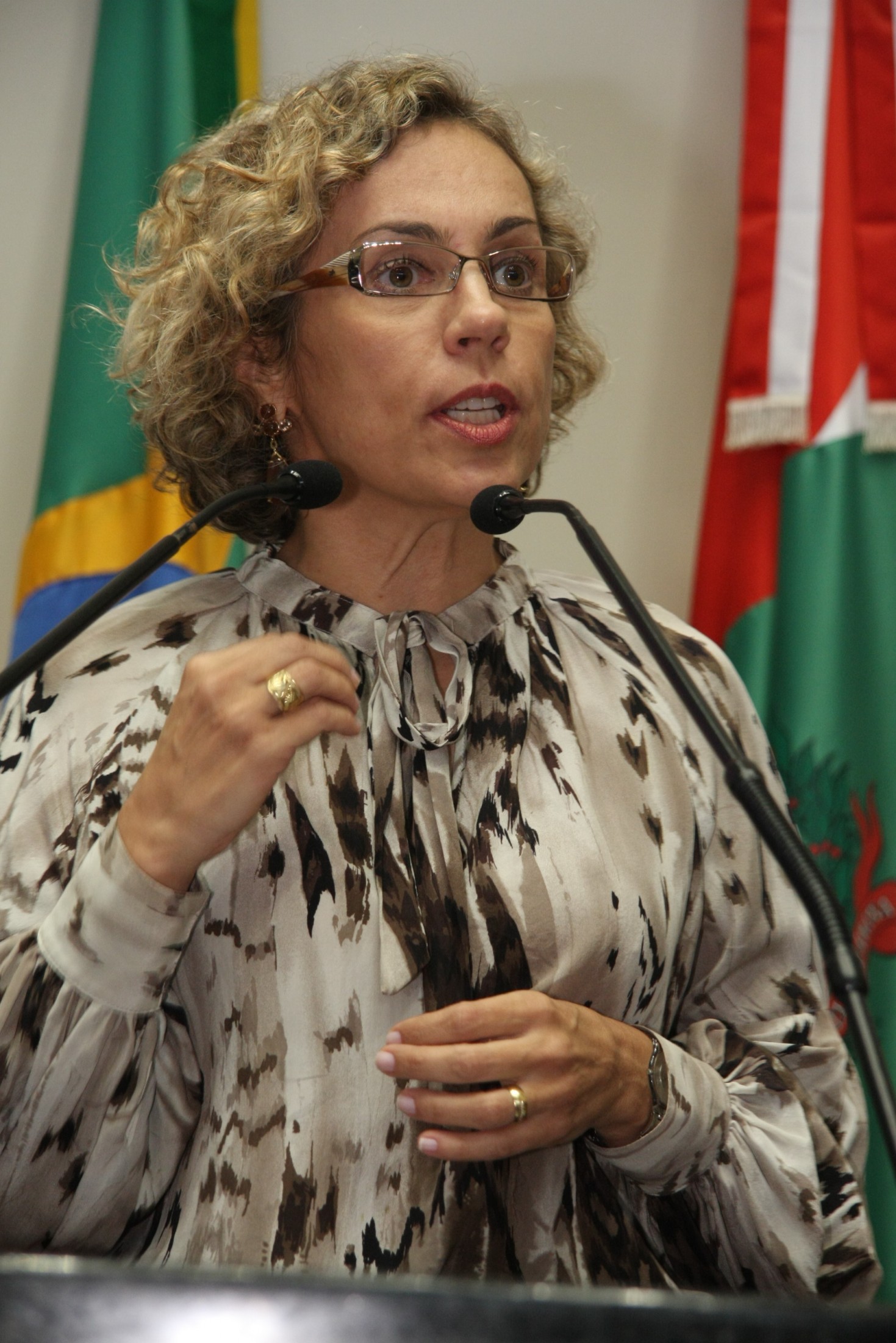 Deputada Ana Paula Lima (PT)