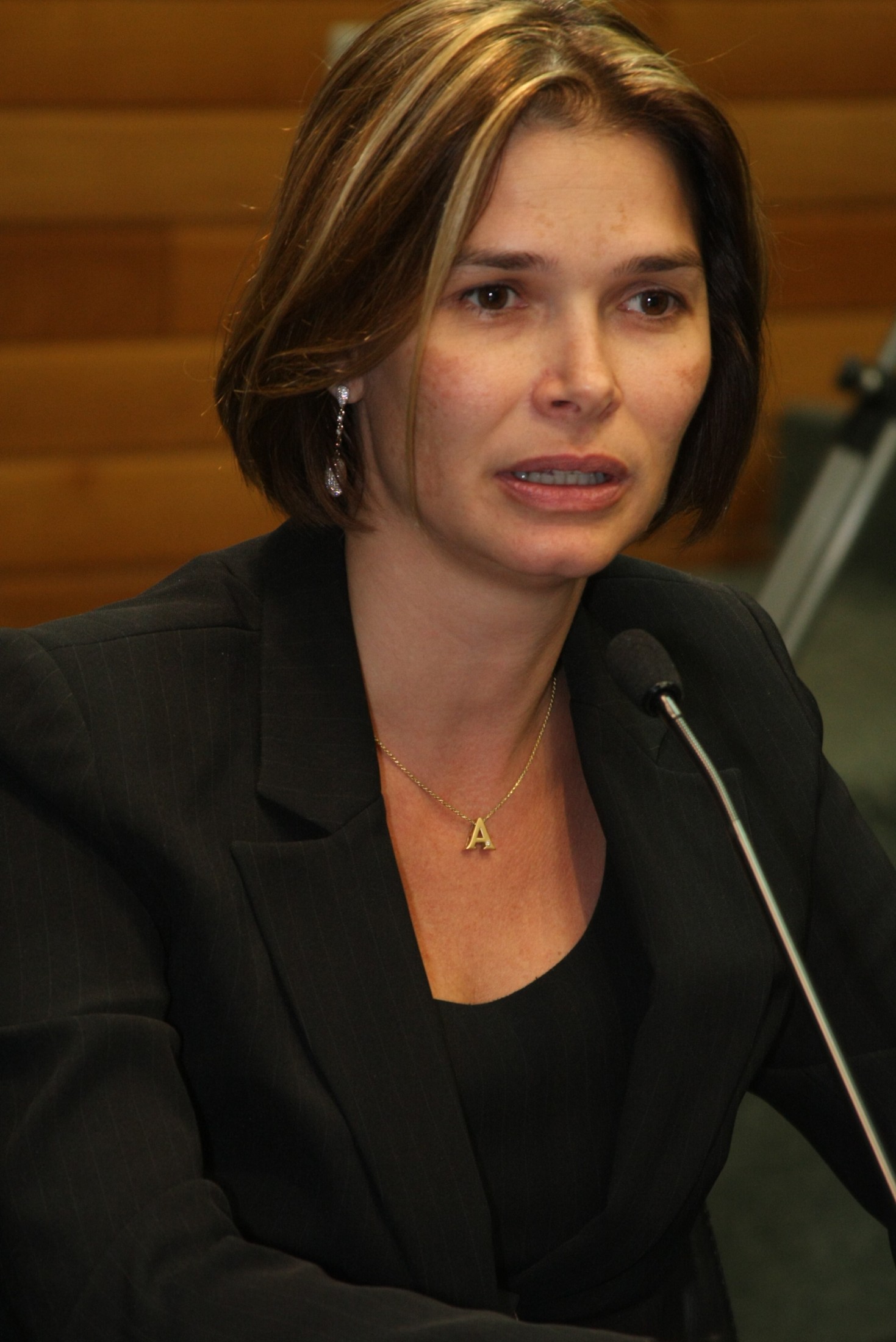 Reunião da Comissão de Economia - Deputada Angela Albino (PCdoB)
