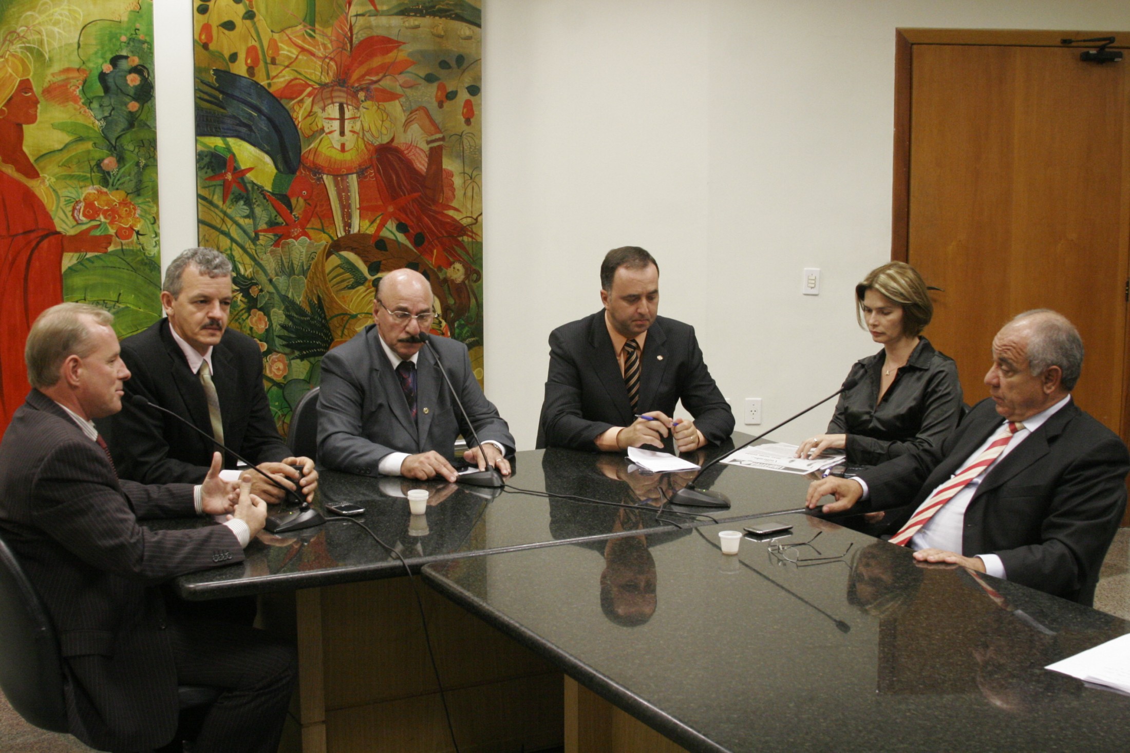 Instalação da Comissão de Defesa Civil