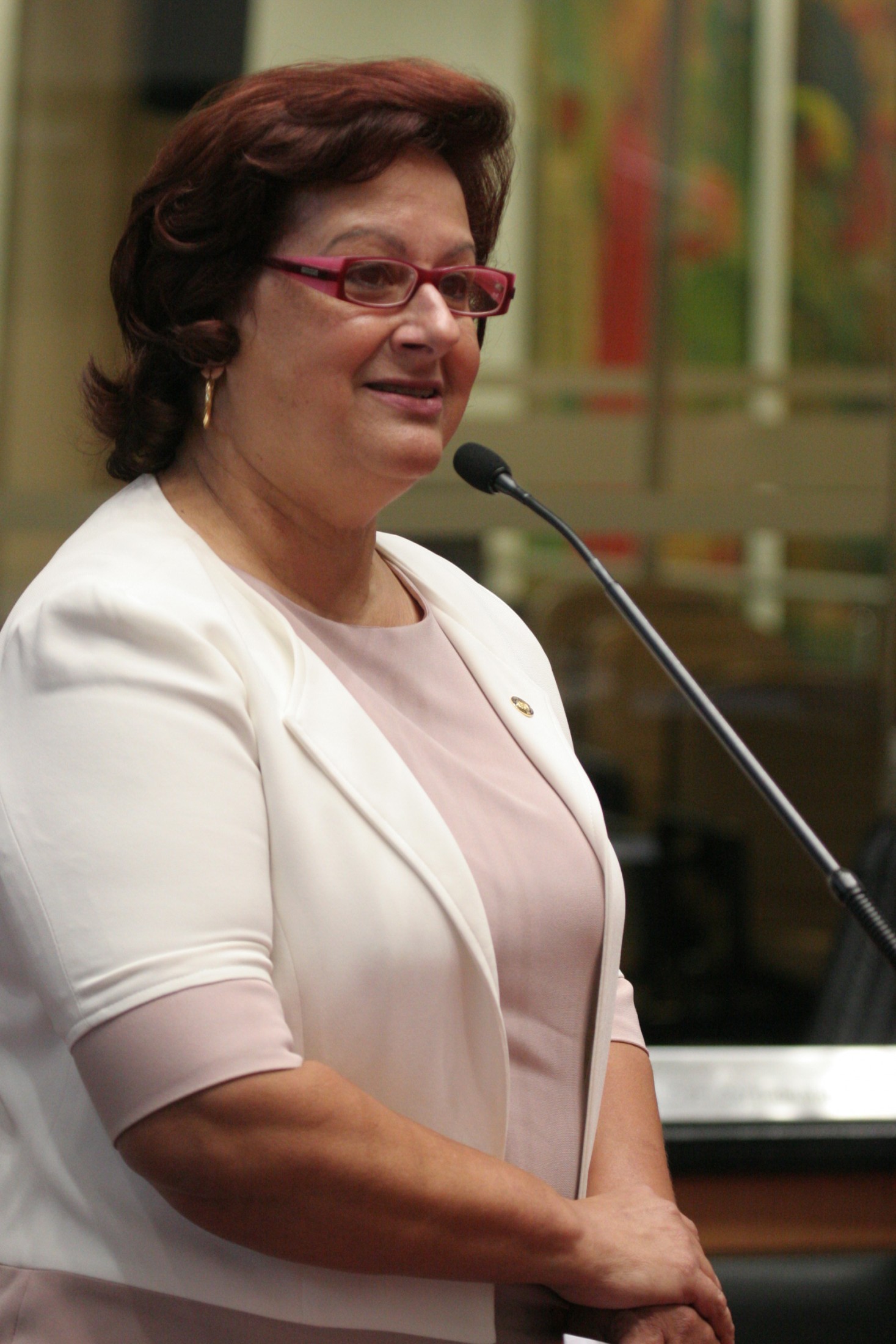 Deputada Dirce Heiderscheidt (PMDB)