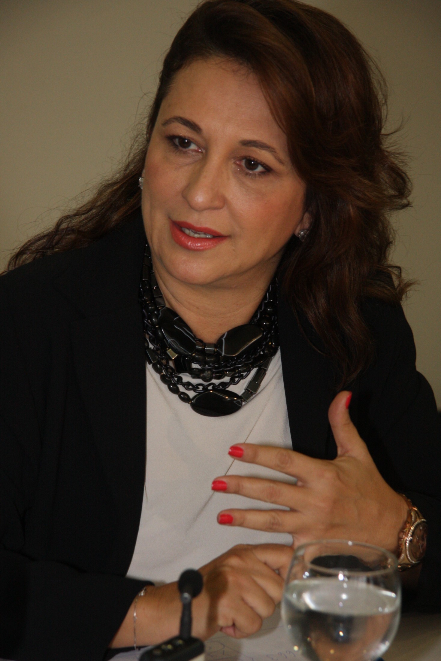 Seminário Código Florestal - Senadora Kátia Abreu (DEM-TO)