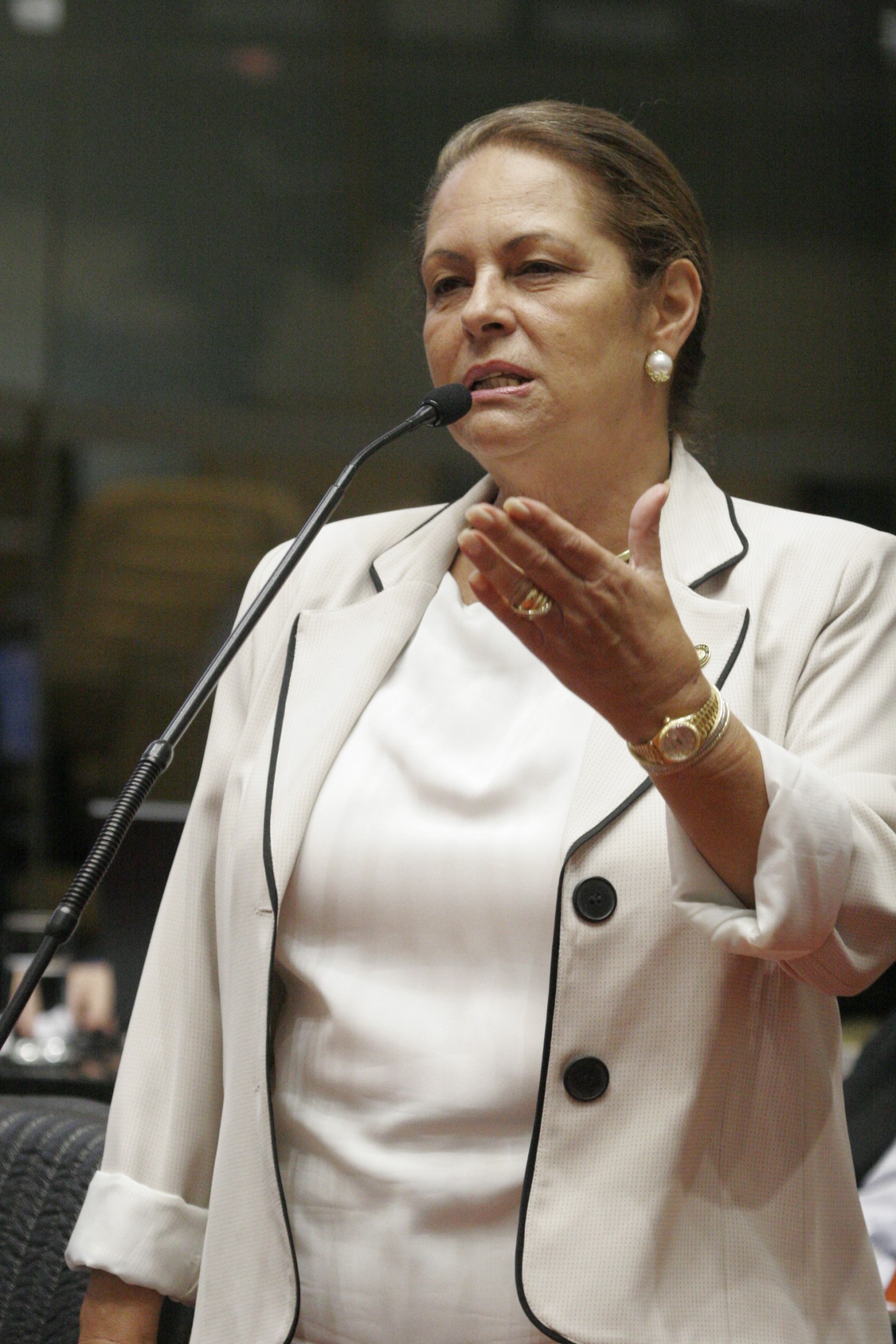 Deputada Ada de Luca (PMDB)