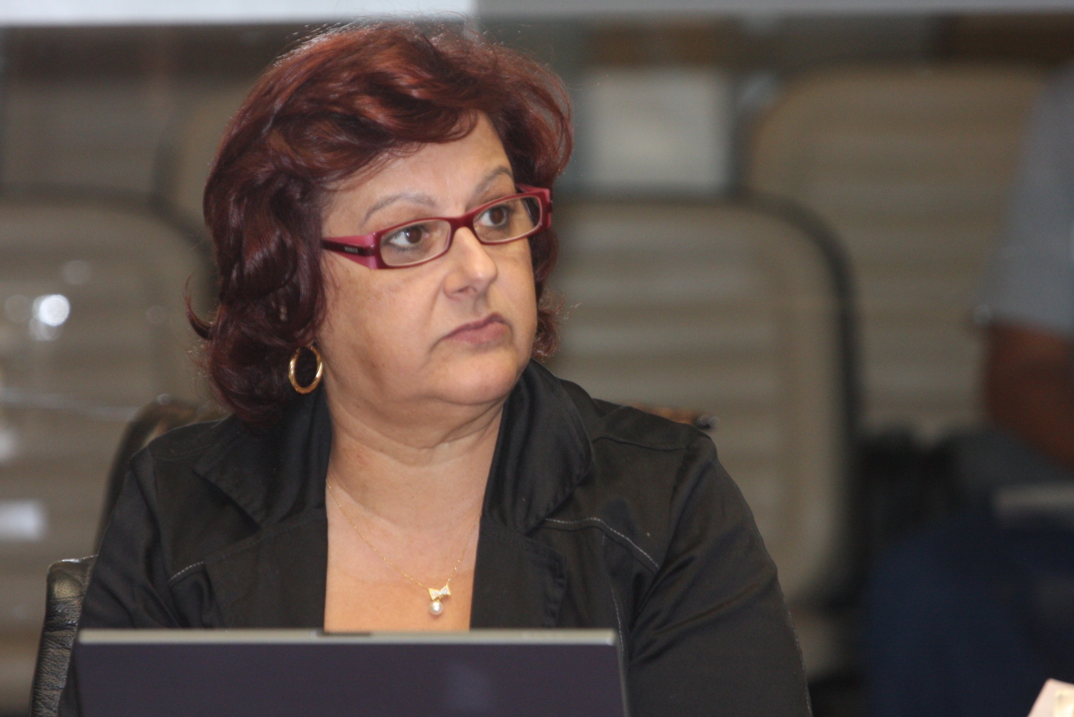 Deputada Dirce Heiderscheidt (PMDB)