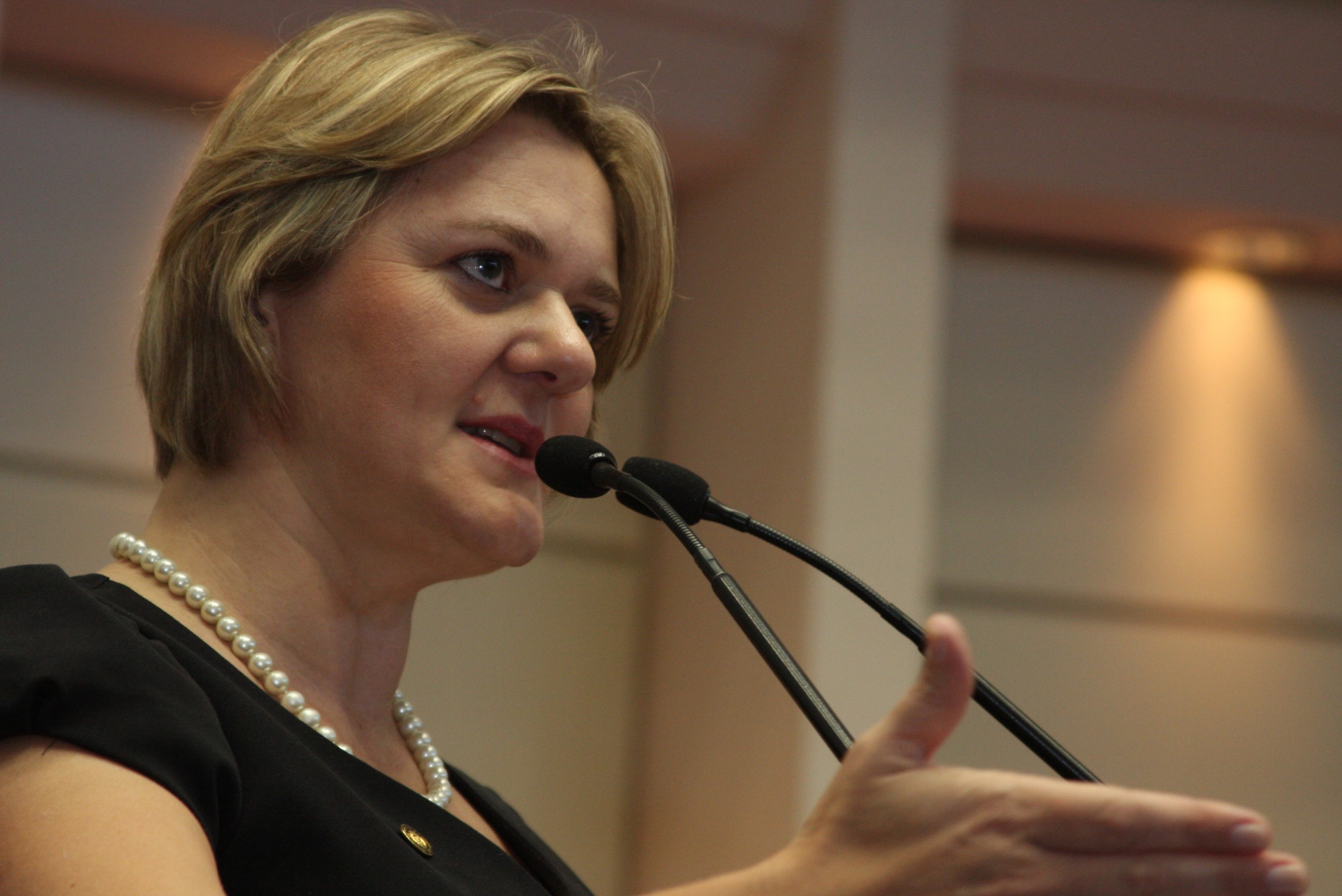 Deputada Luciane Carminatti (PT)