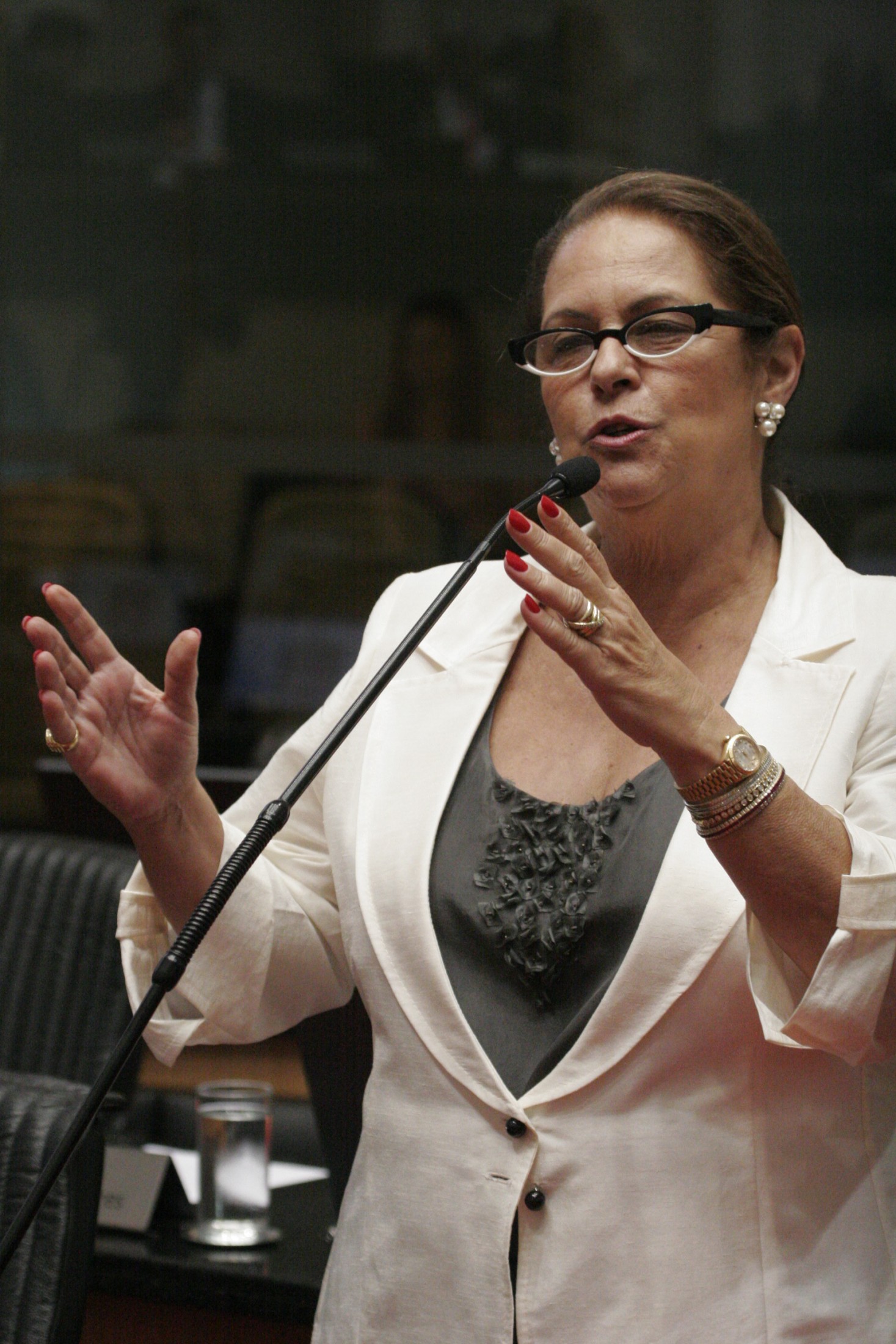 Deputada Ada Faraco De Luca (PMDB)