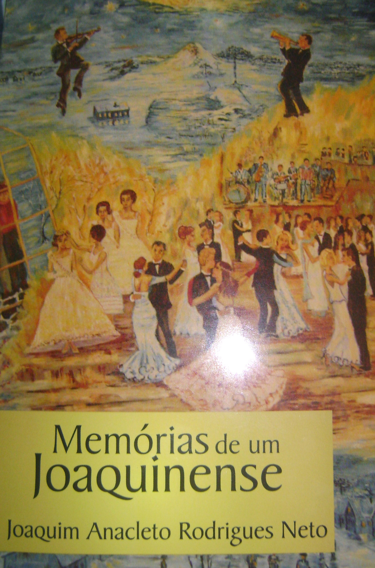 Capa do livro traz obra da artista plástica