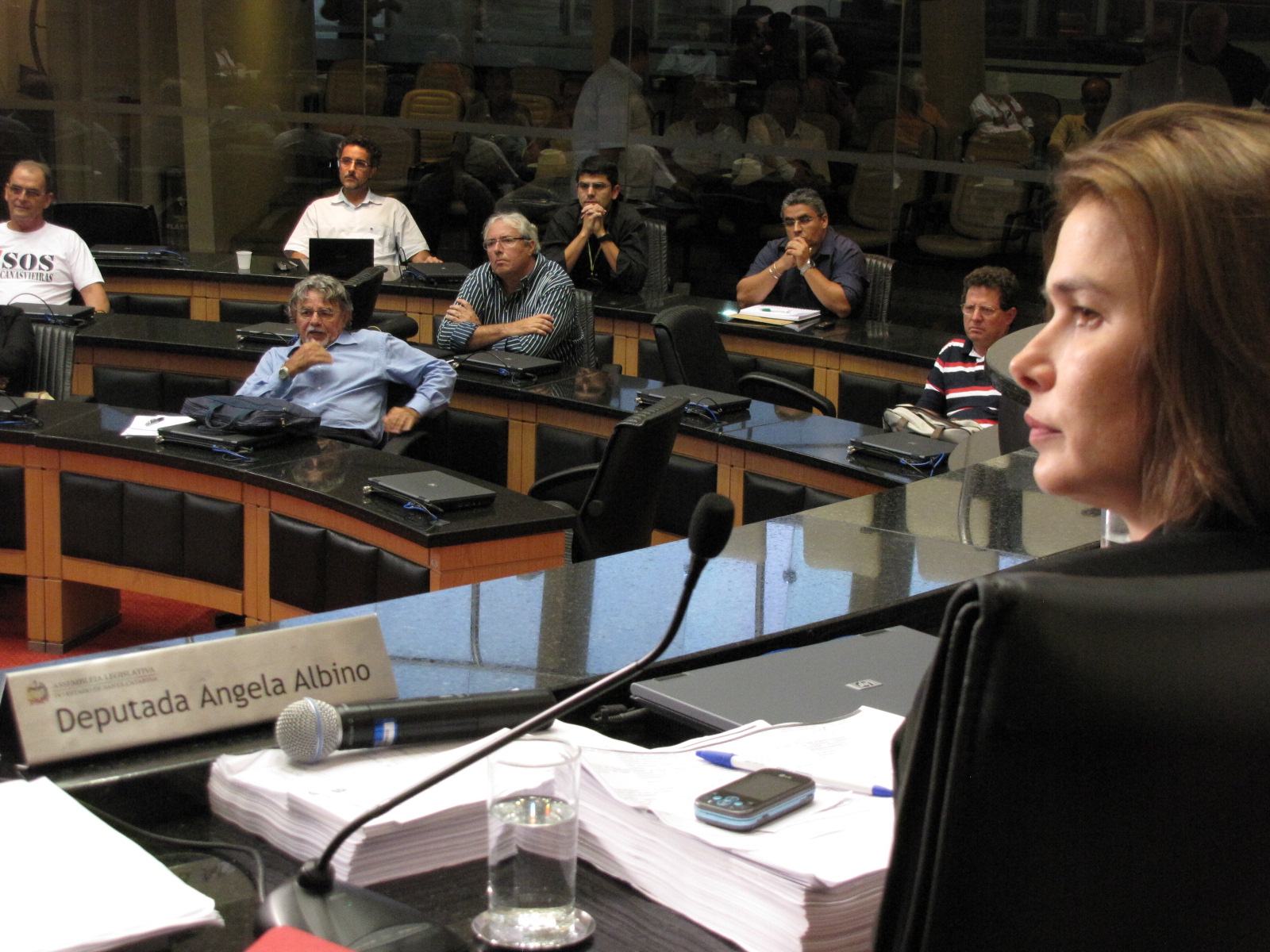 Deputada Angela Albino (PCdoB)