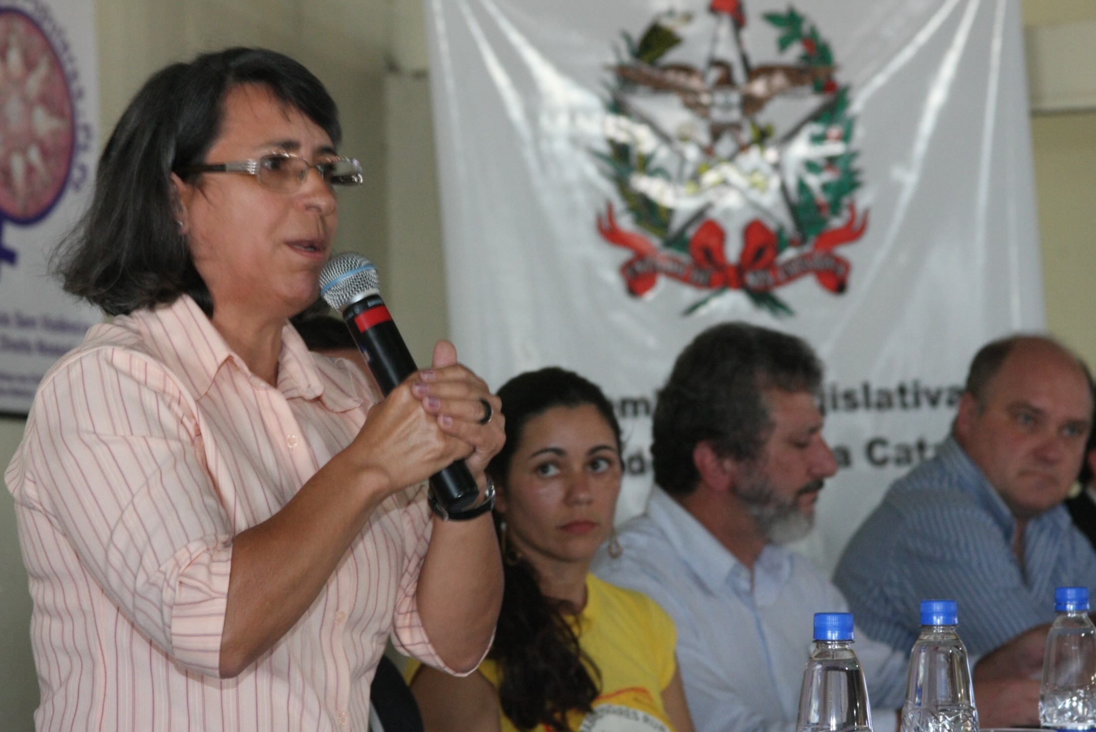 Audiência Pública - A fim de debater sobre ''Quem são e quais os direitos dos atingidos por barragens'' - Cerro Negro/SC