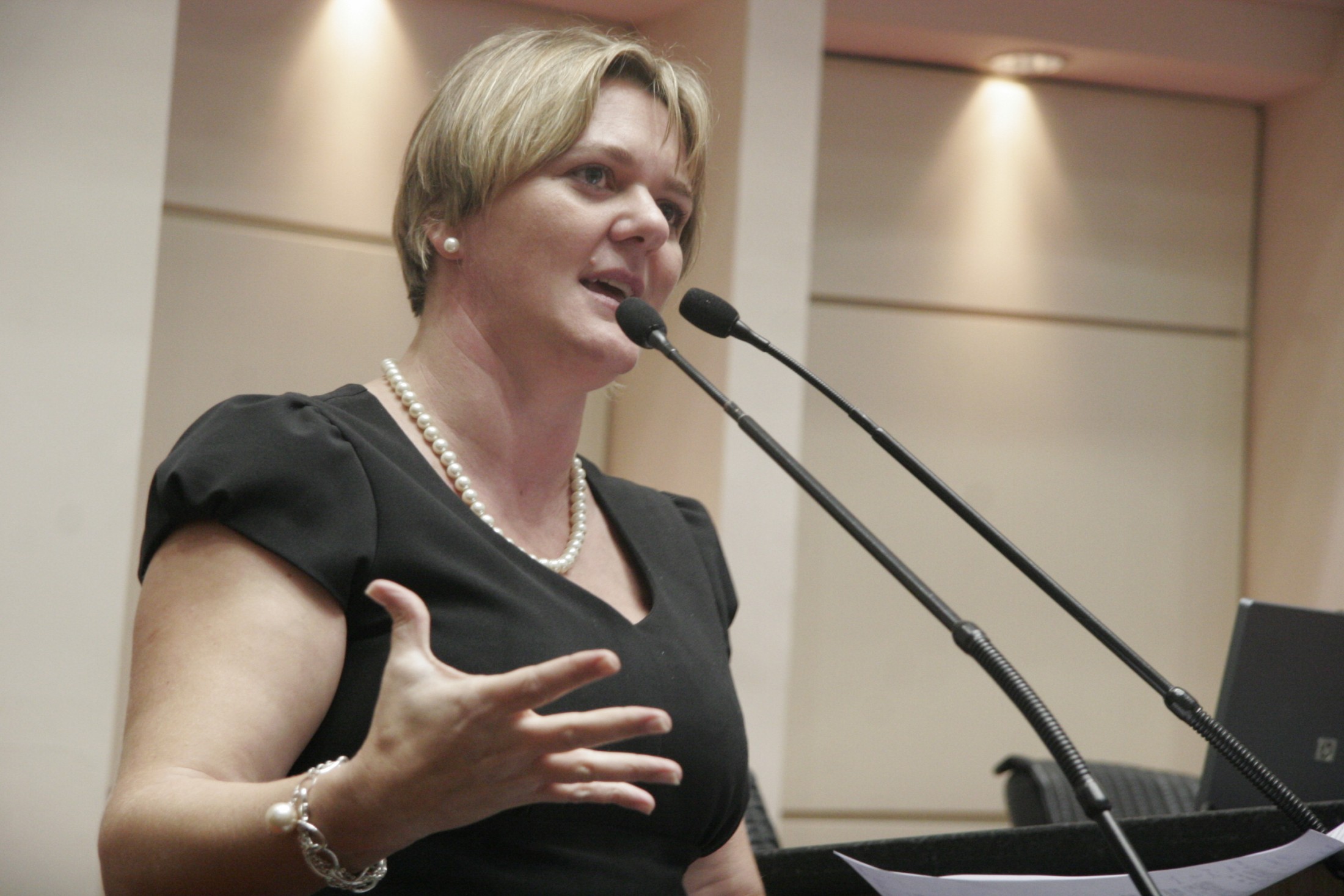 Deputada Luciane Carminatti (PT)