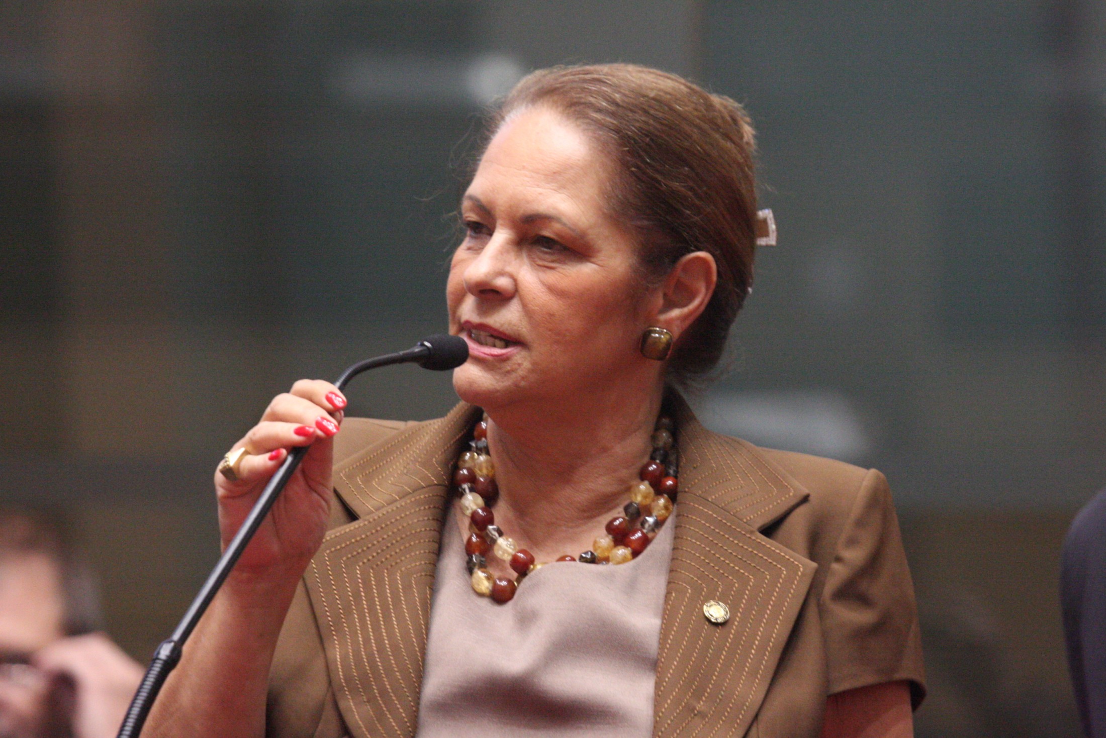 Deputada Ada de Luca (PMDB)