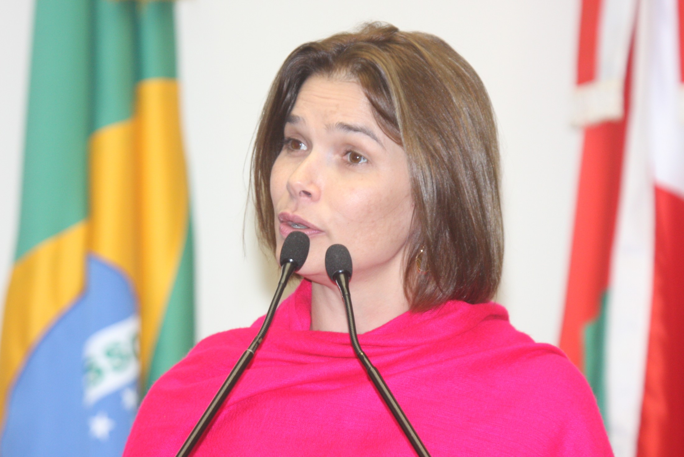 Comissão de Legislação Participativa aprova seminário sobre mobilidade urbana