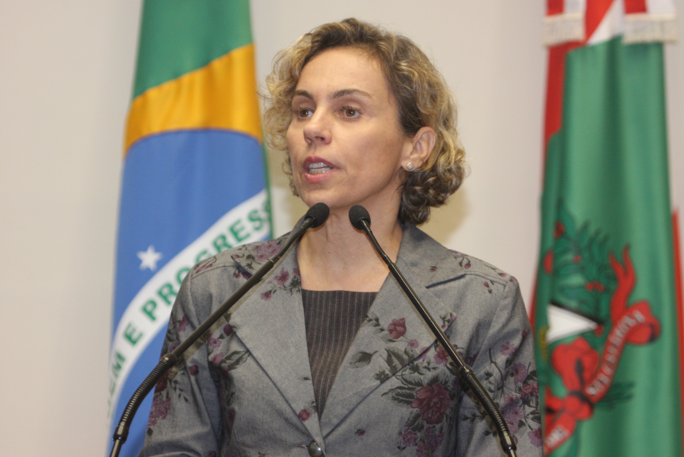 Deputada Ana Paula Lima (PT)