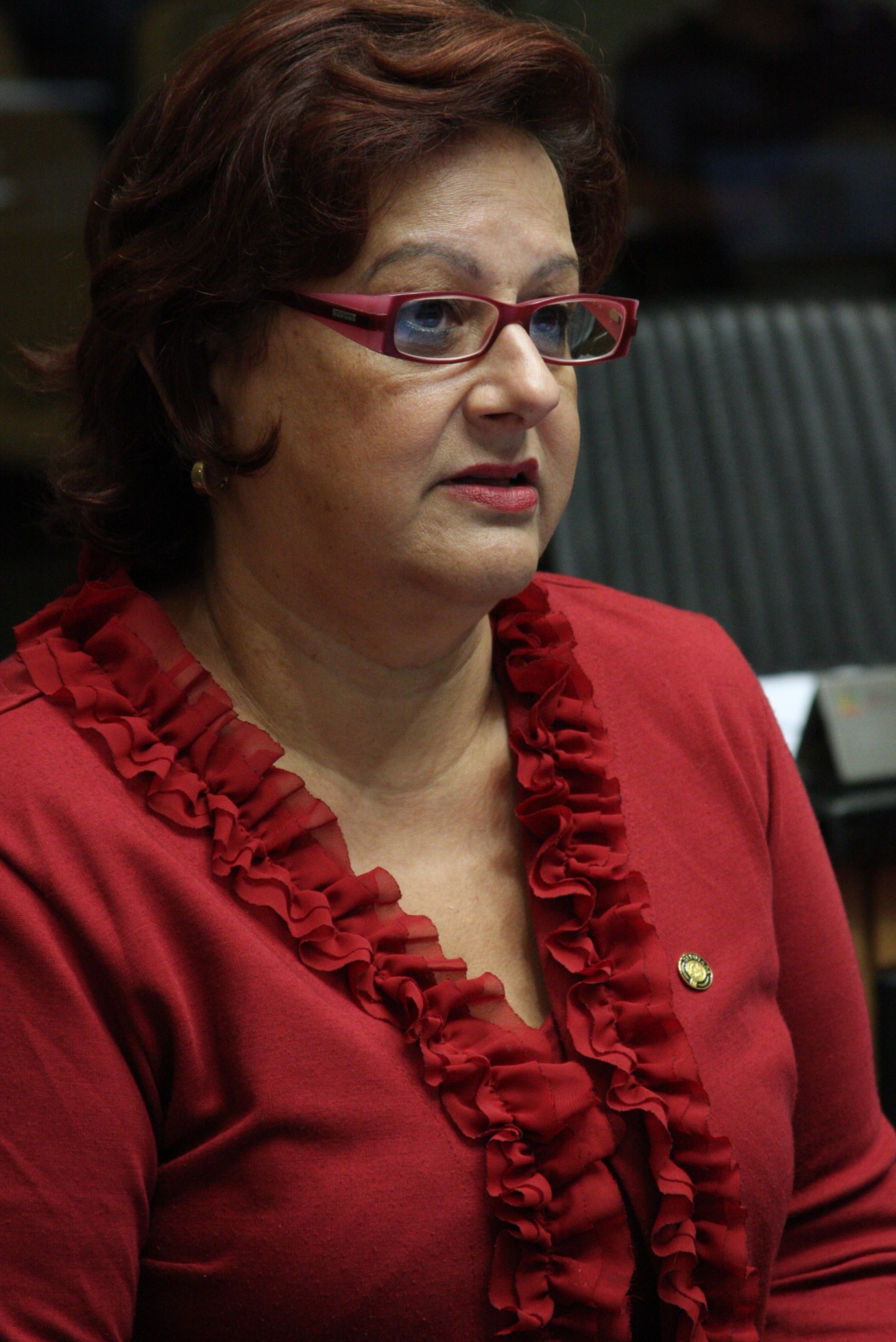 Deputada Dirce Heiderscheidt (PMDB)