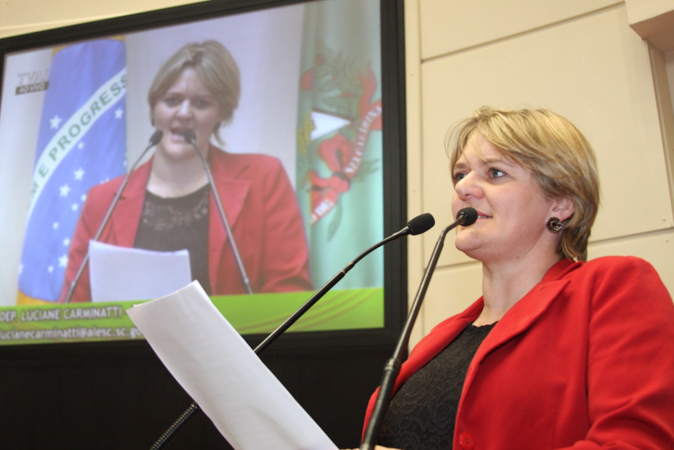 Deputada Luciane Carminatti (PT)
