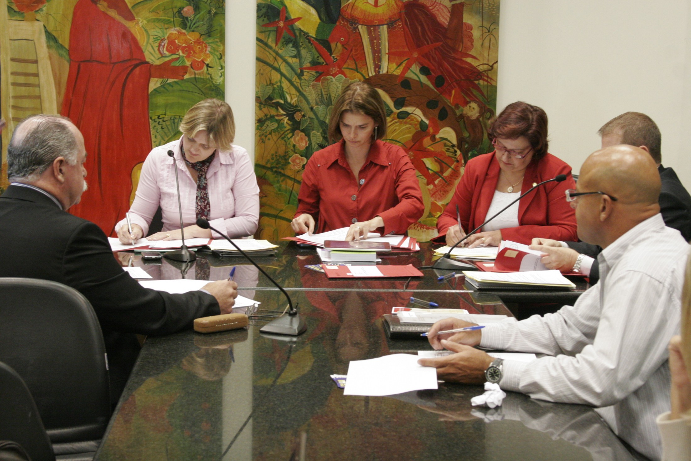 Reunião Extraordinária – Comissão DGF