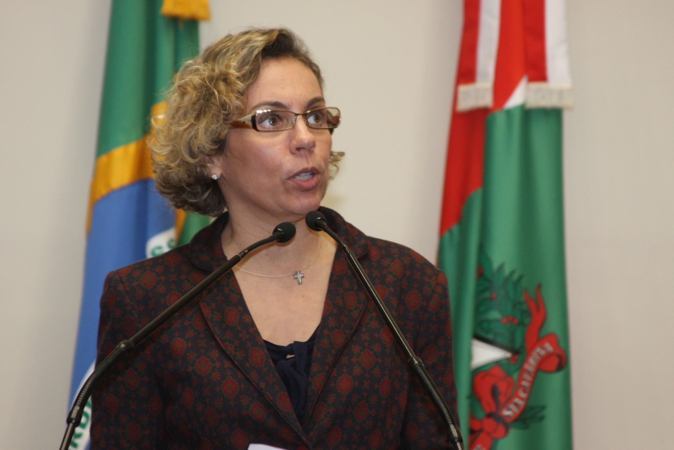 Deputada Ana Paula Lima (PT)